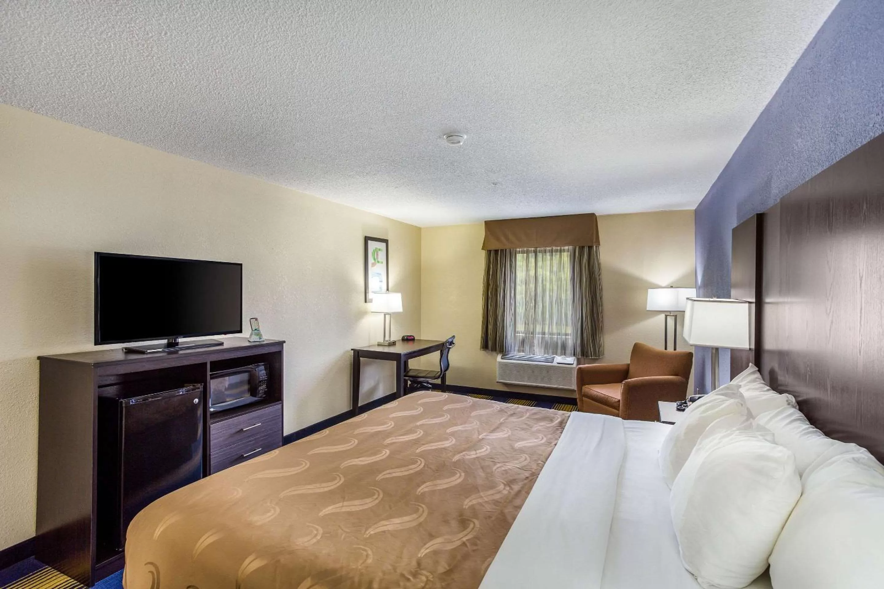 Standard King Room - Non Smoking in Quality Inn Charleston South