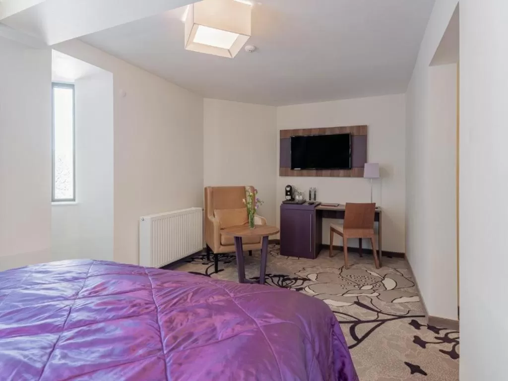 Standard Double Room in Hotel Miruna - New Belvedere