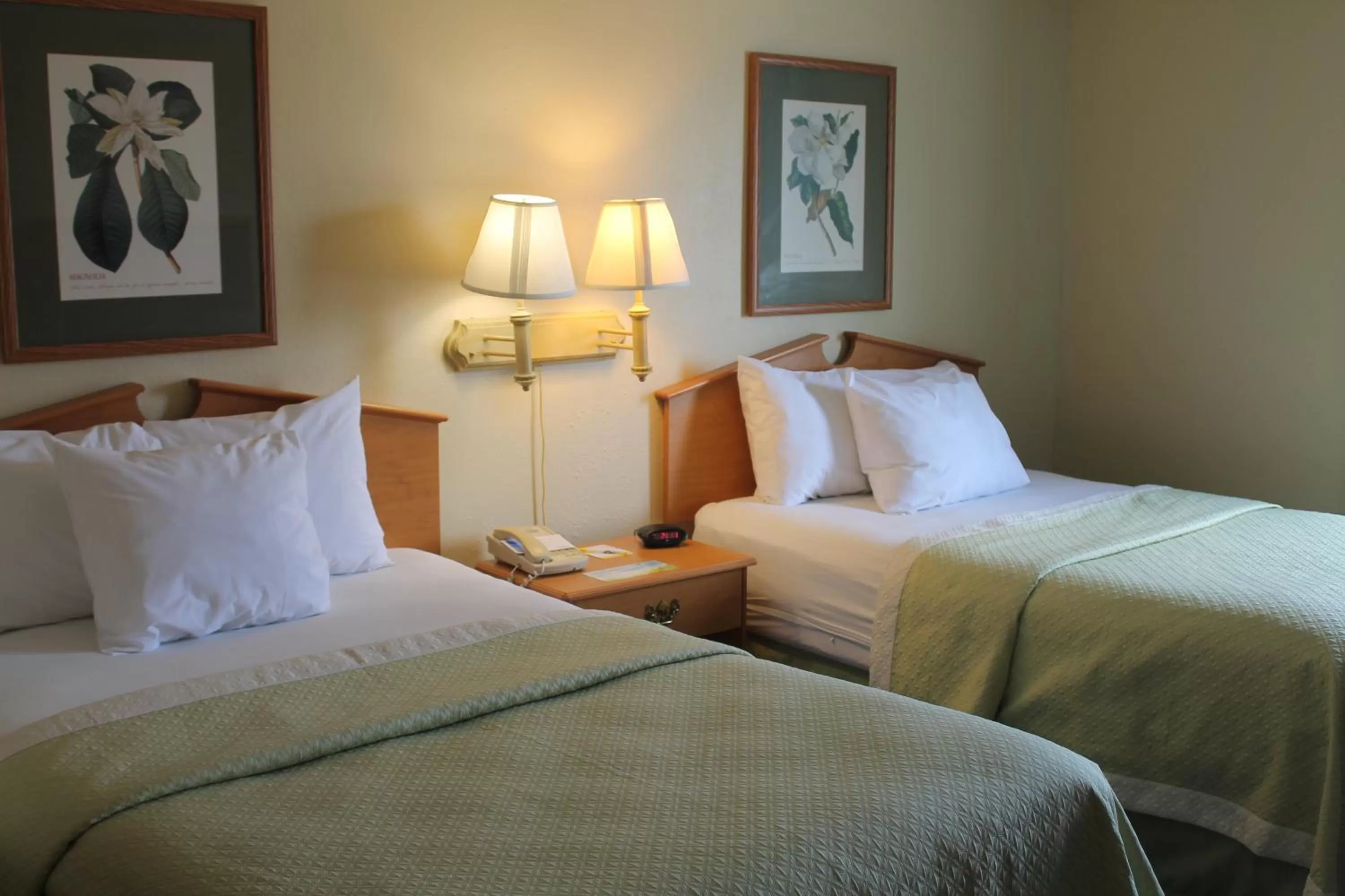Studio Suite with Two Double Beds - Mobility Access/ Non-Smoking in Days Inn & Suites by Wyndham Bridgeport - Clarksburg