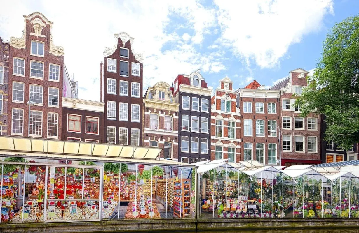 Neighbourhood in Owl Hotel