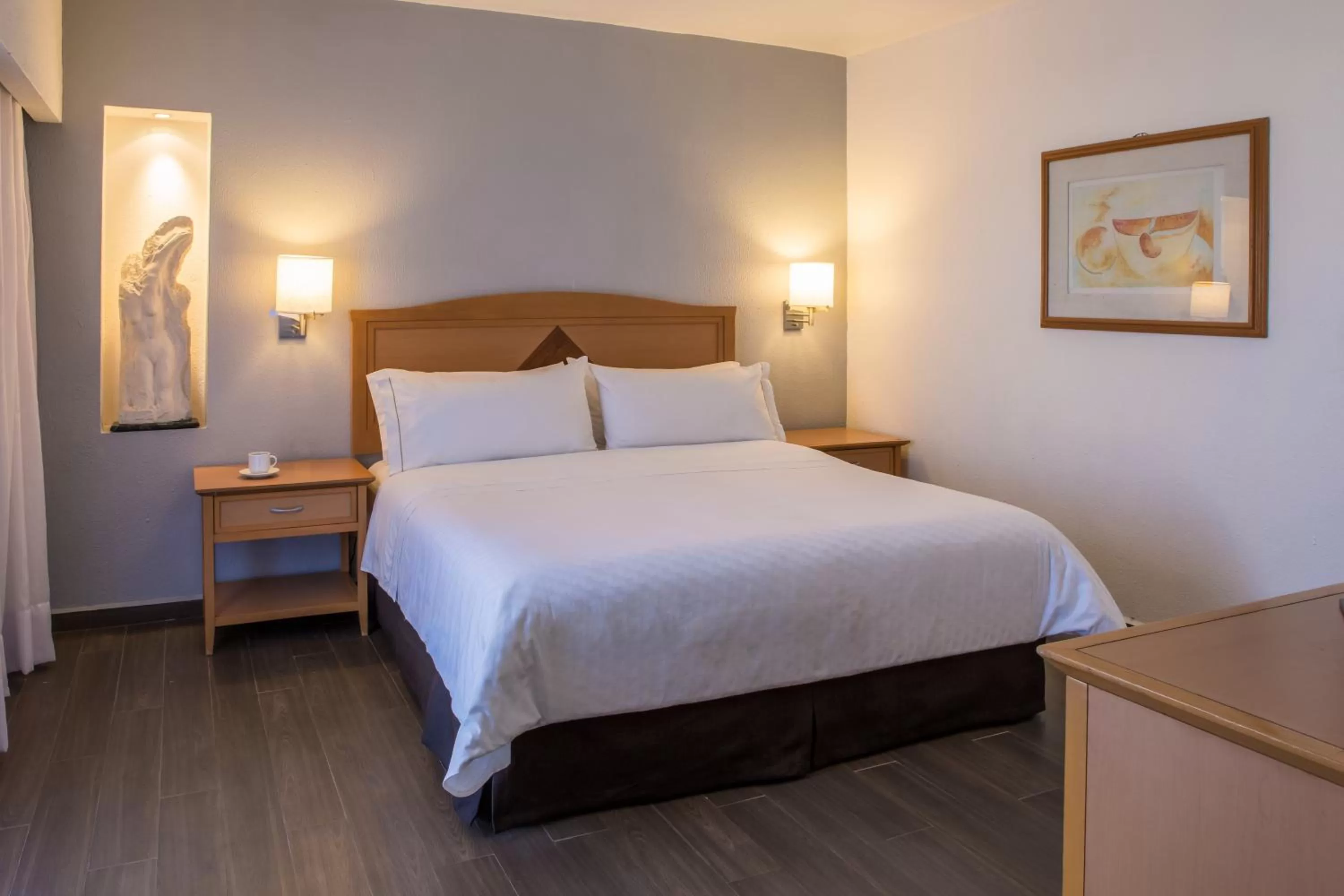 Superior King Room - single occupancy in Fiesta Inn Express Chihuahua