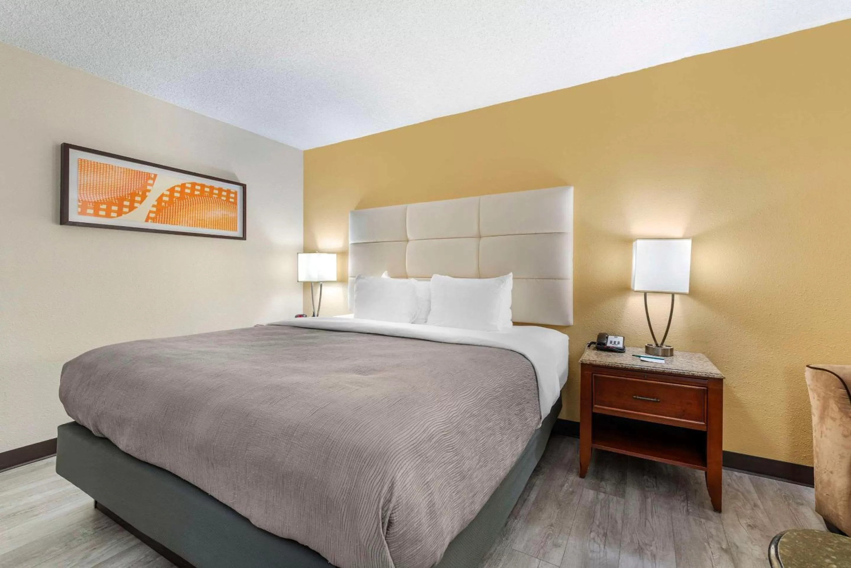 King Room - Non-Smoking/Pet Friendly in Quality Inn Alamosa