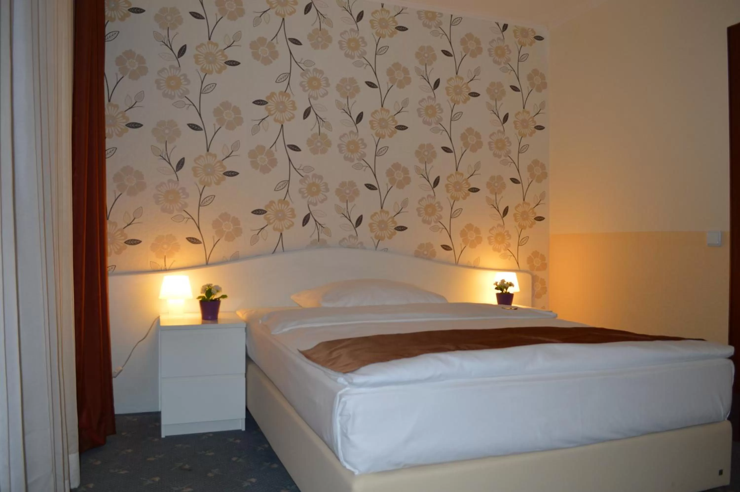 Single Room in Hotel Royal Hanau
