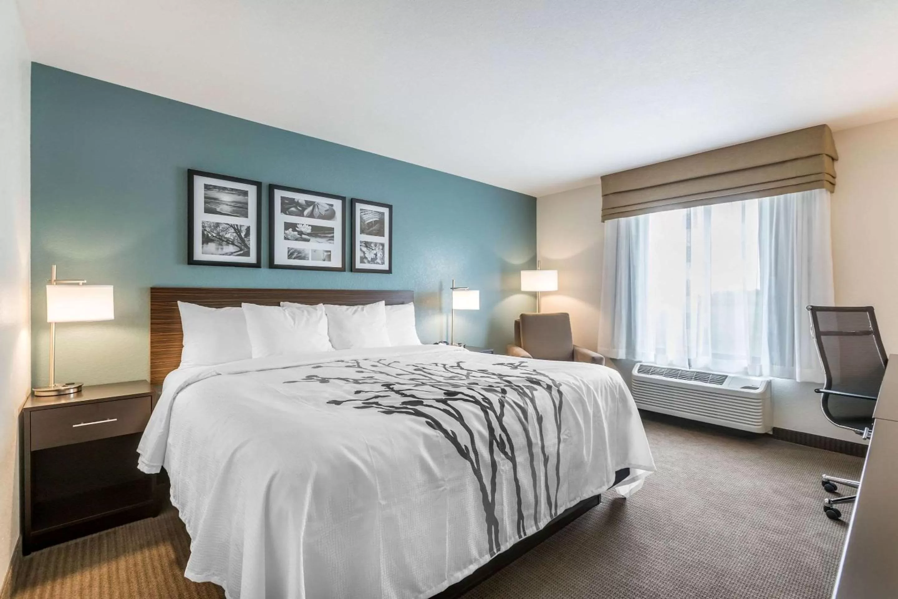 King Room - Accessible/Non-Smoking in Sleep Inn & Suites West Des Moines near Jordan Creek