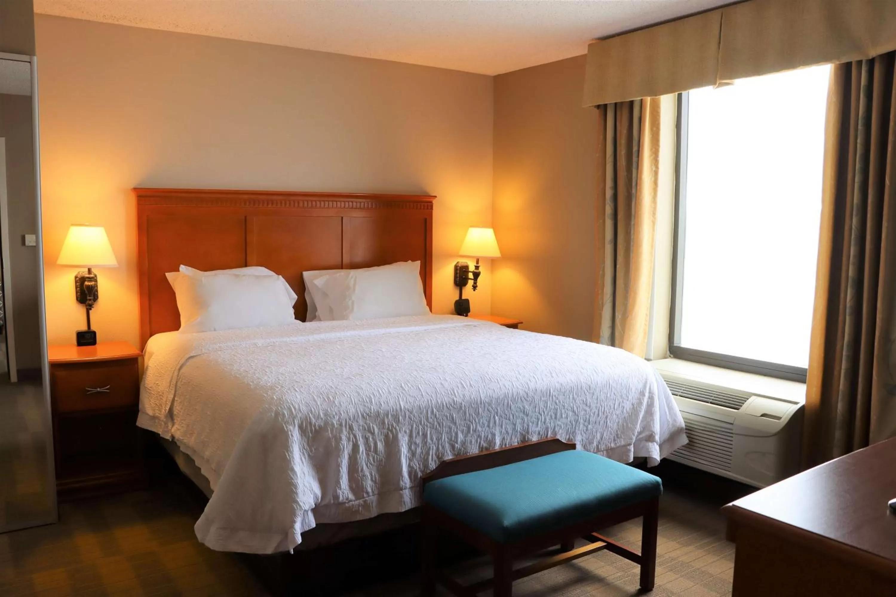 One-Bedroom King Suite with Whirlpool - Non-Smoking  in Hampton Inn & Suites Thibodaux