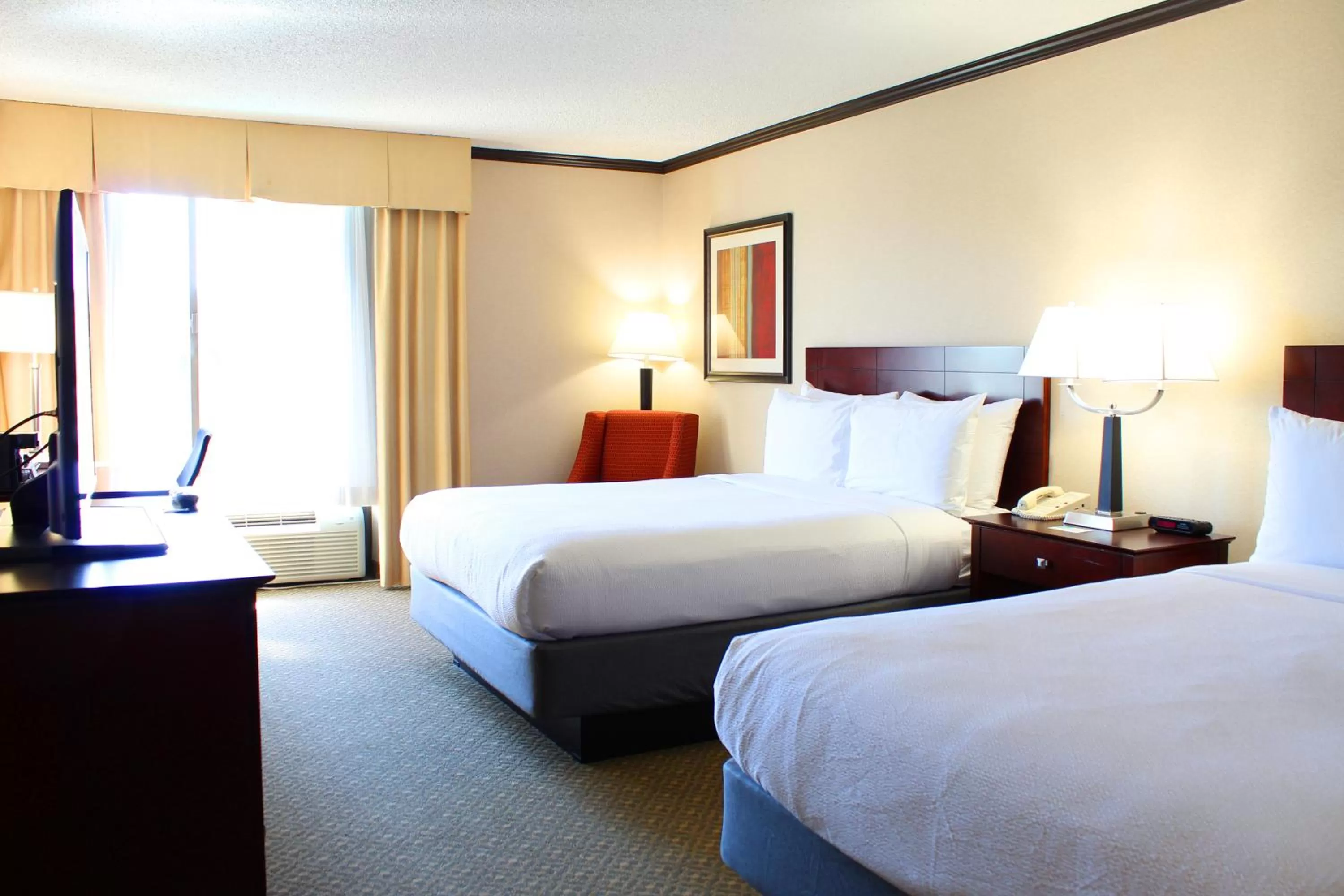 Queen Room with Pool View in Hotel Burbank