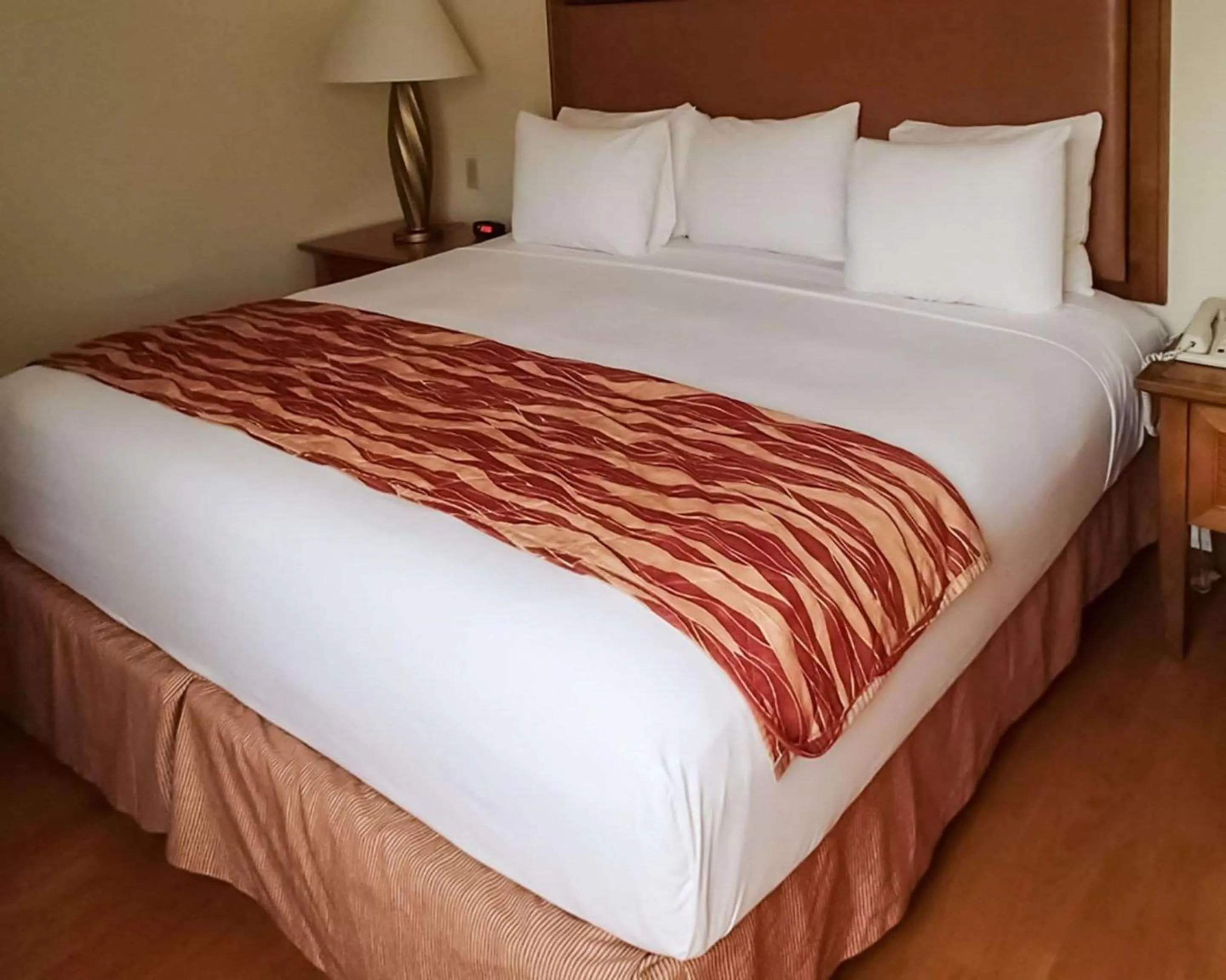 King Room - Disability Access/Non-Smoking in Rodeway Inn South Miami - Coral Gables