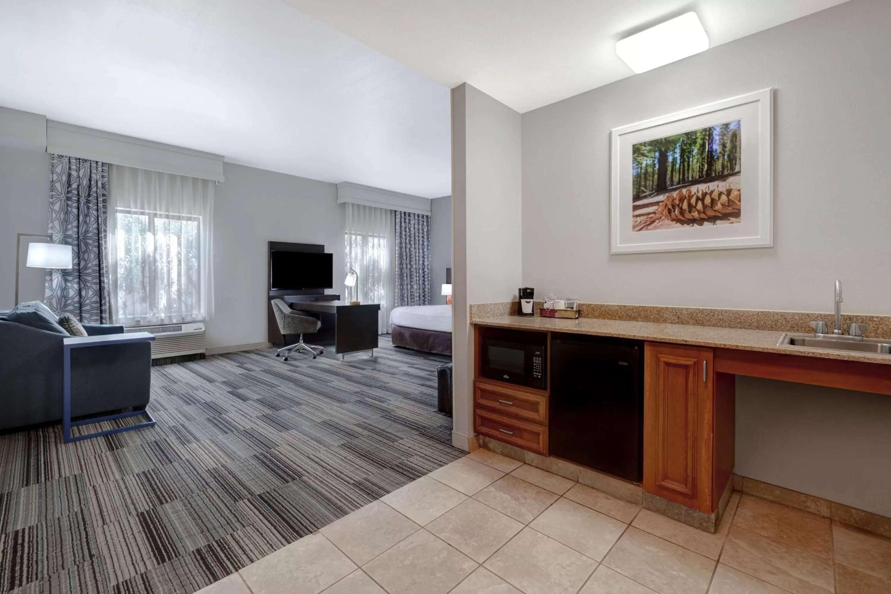 King Studio Suite - Non-Smoking in Hampton Inn & Suites Tulare