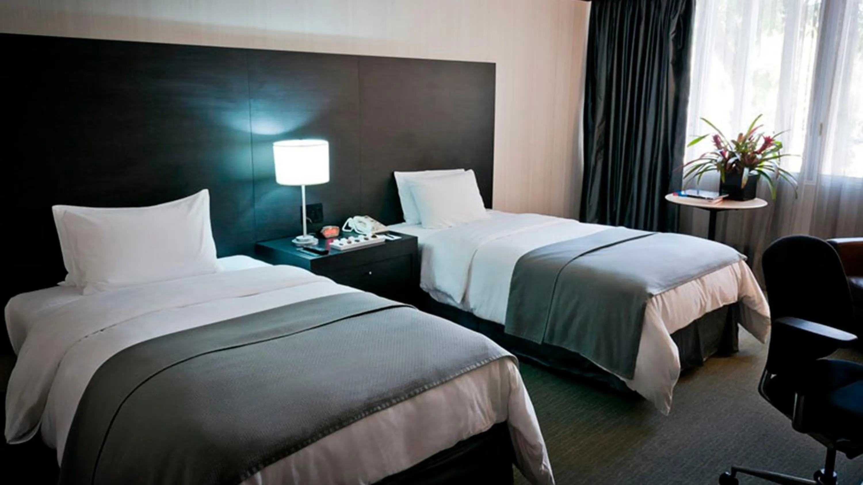 Deluxe Twin Room - single occupancy in Hotel Tamanaco Caracas