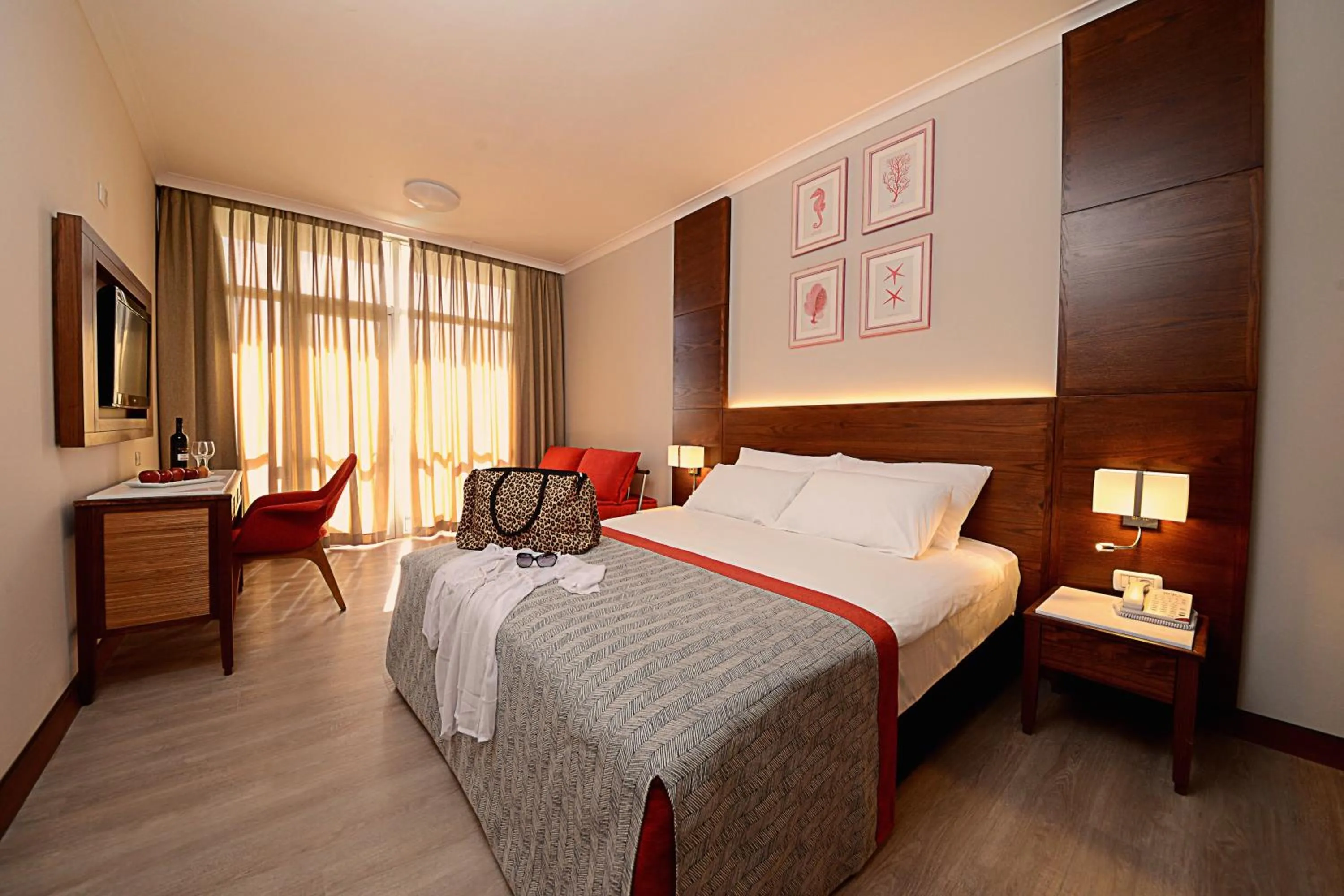 Premium Room in Caesar Premier Eilat Hotel