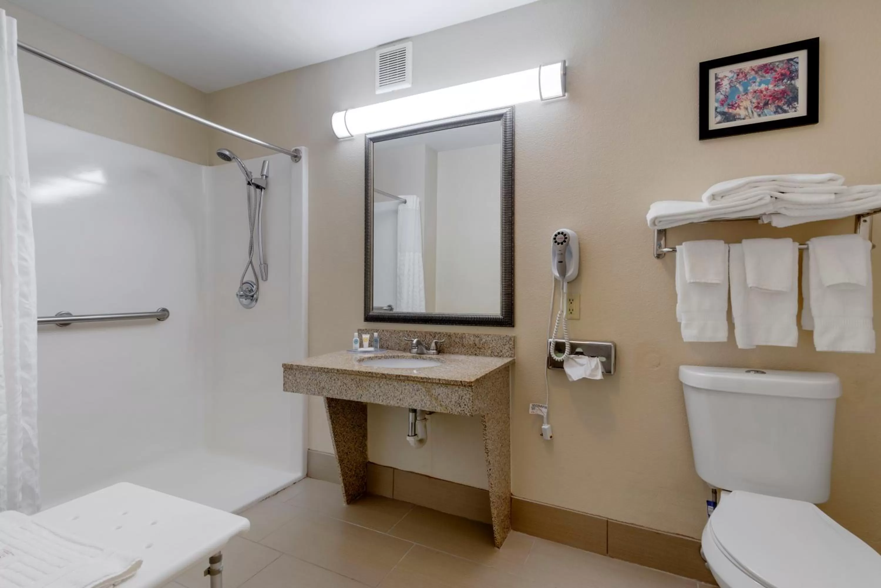 King Suite with Roll-In Shower - Accessible/Non-Smoking in Comfort Suites Columbus State University Area