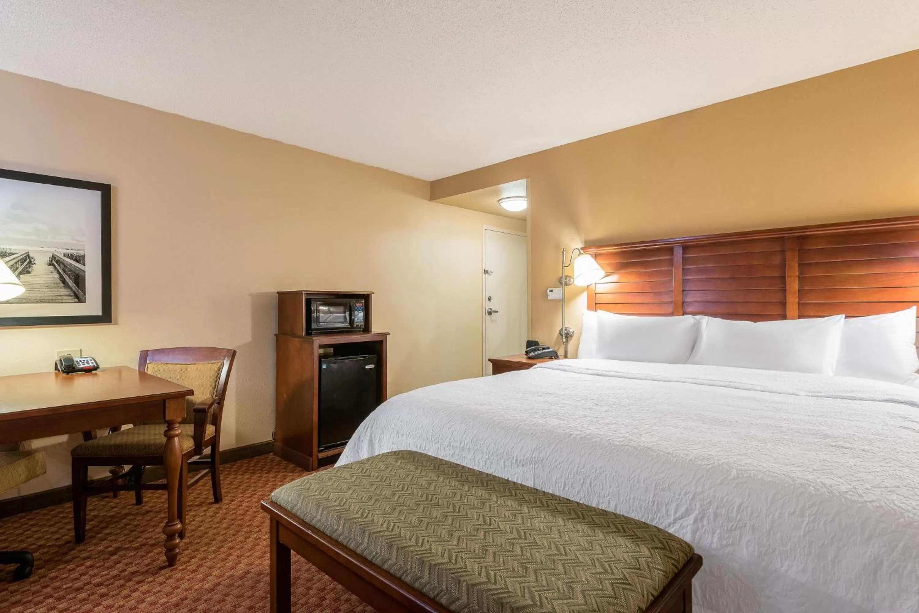 King Suite - Mobility and Hearing Access/Non-Smoking in Hampton Inn & Suites Florence-North-I-95