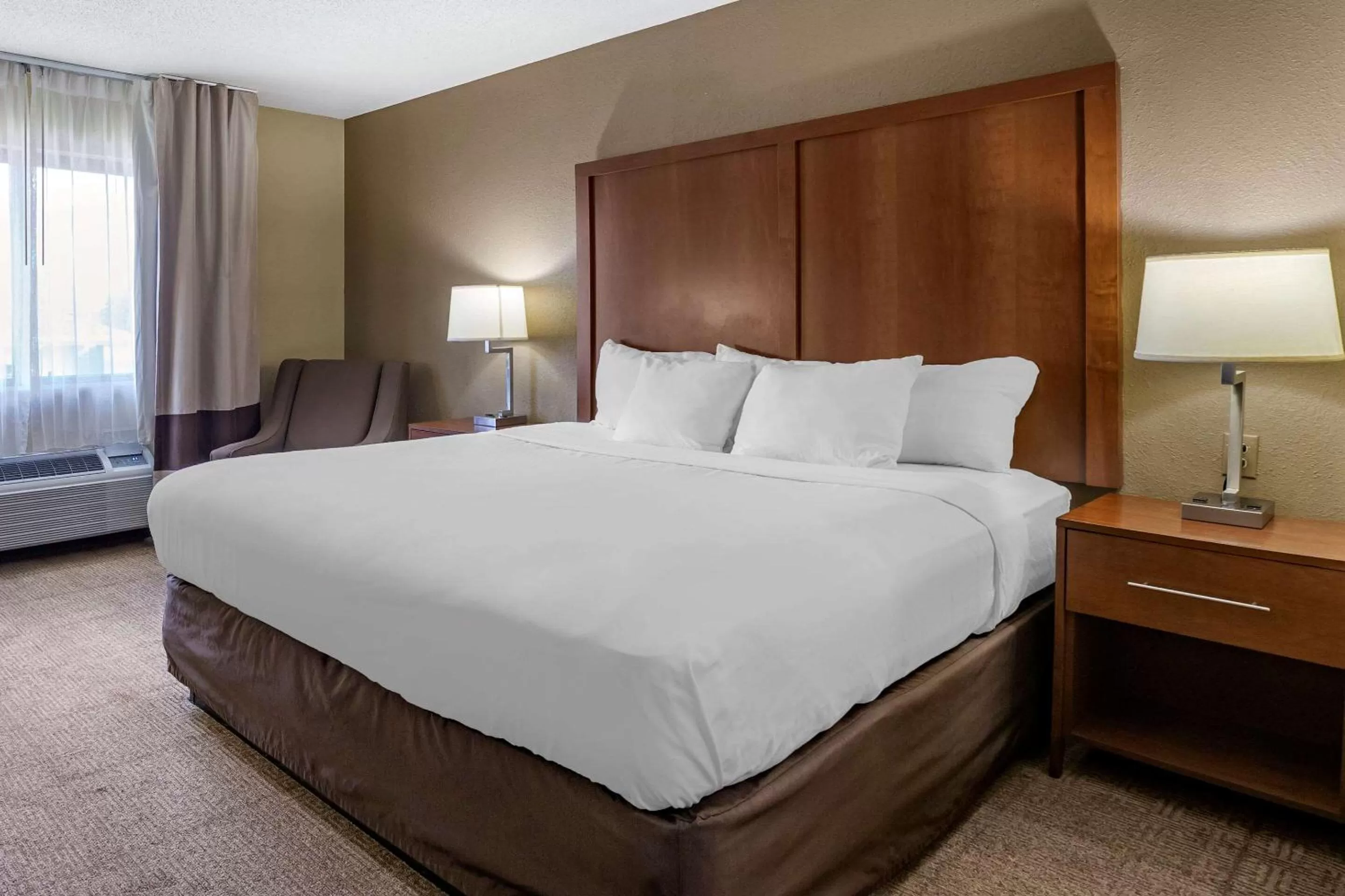 King Room - Non-Smoking in Comfort Inn Moline - Quad Cities