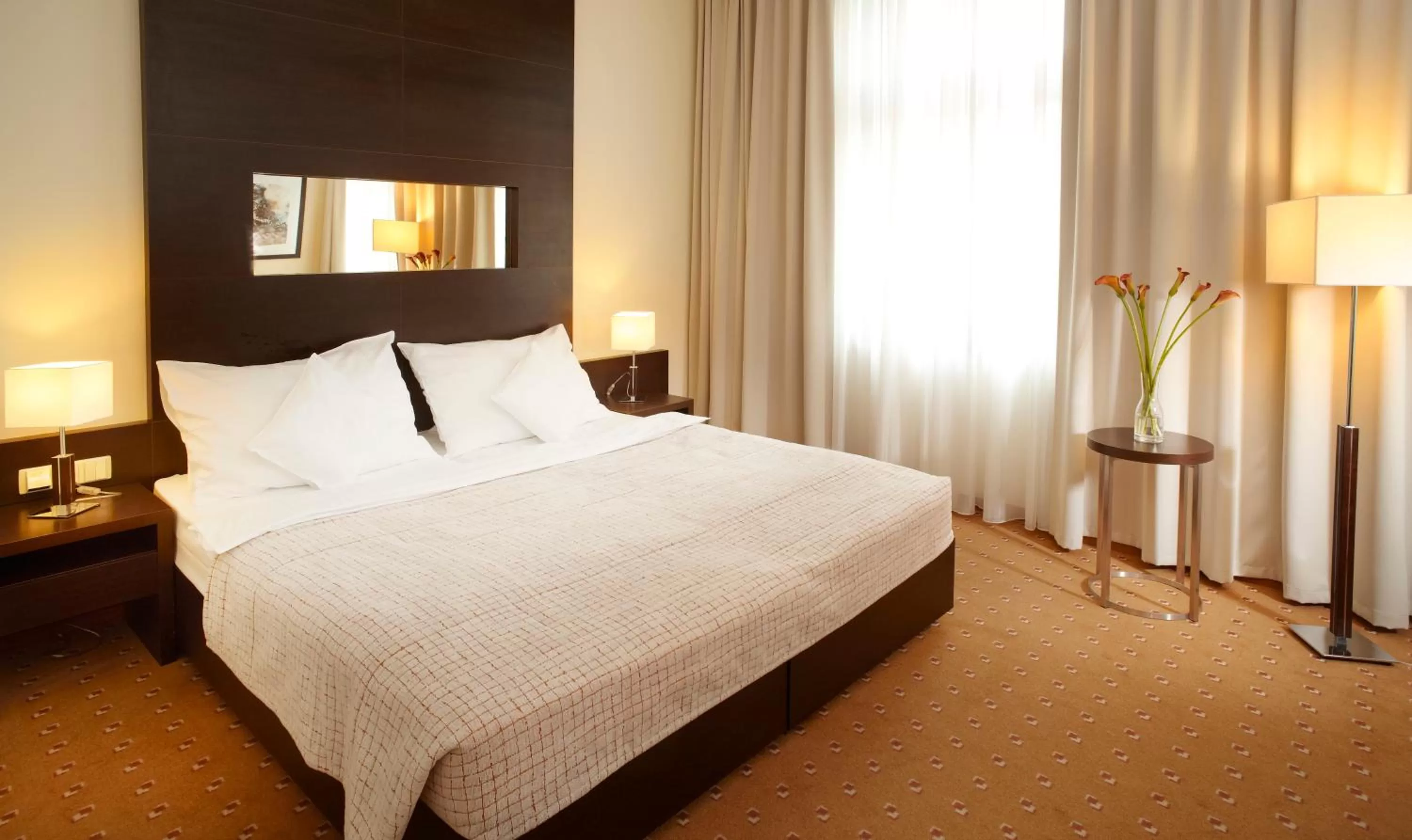 Superior Double Room (1 Adult) in Clarion Hotel Prague City