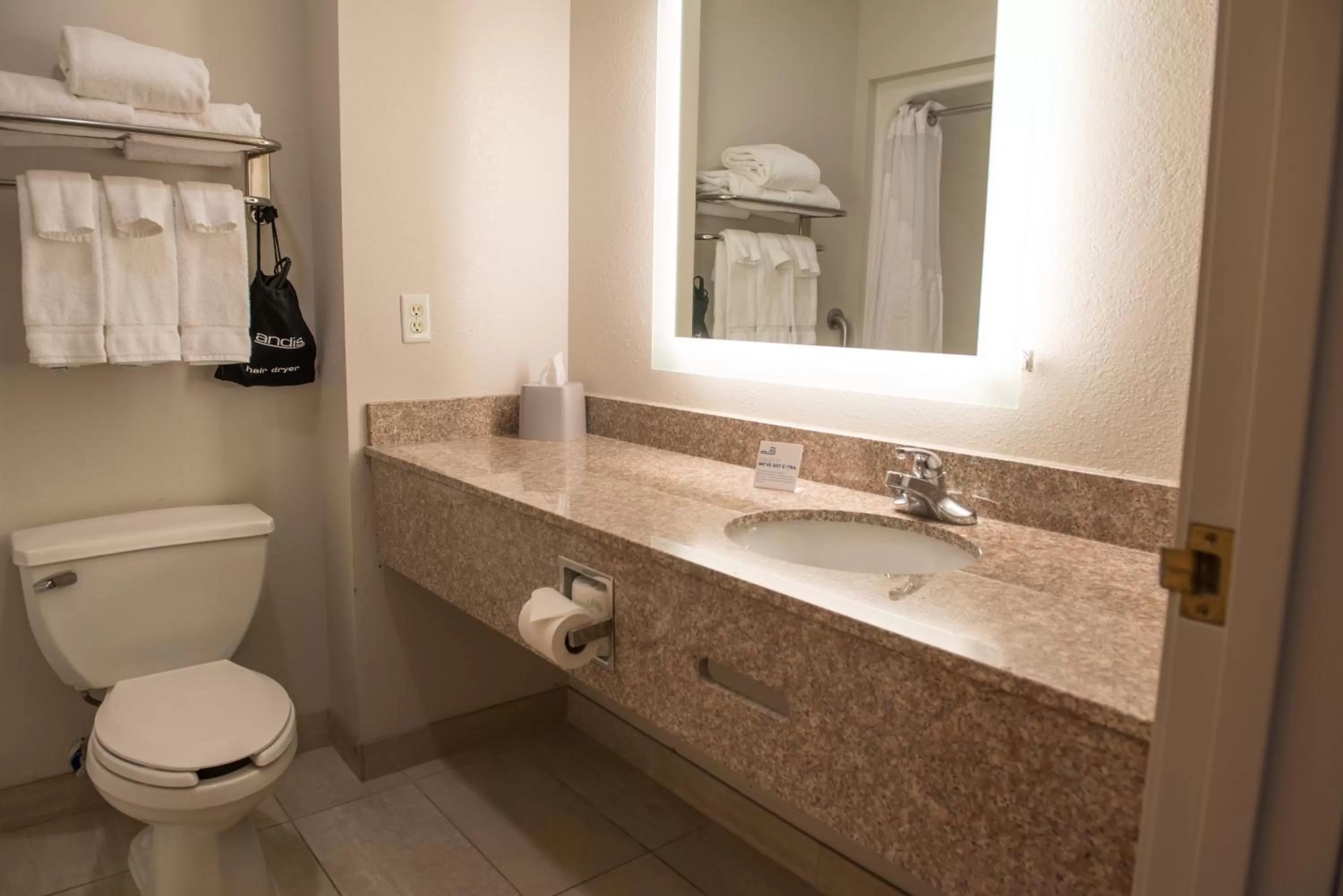 Standard Room in Holiday Inn Express Hotel & Suites Elkhart-South by IHG