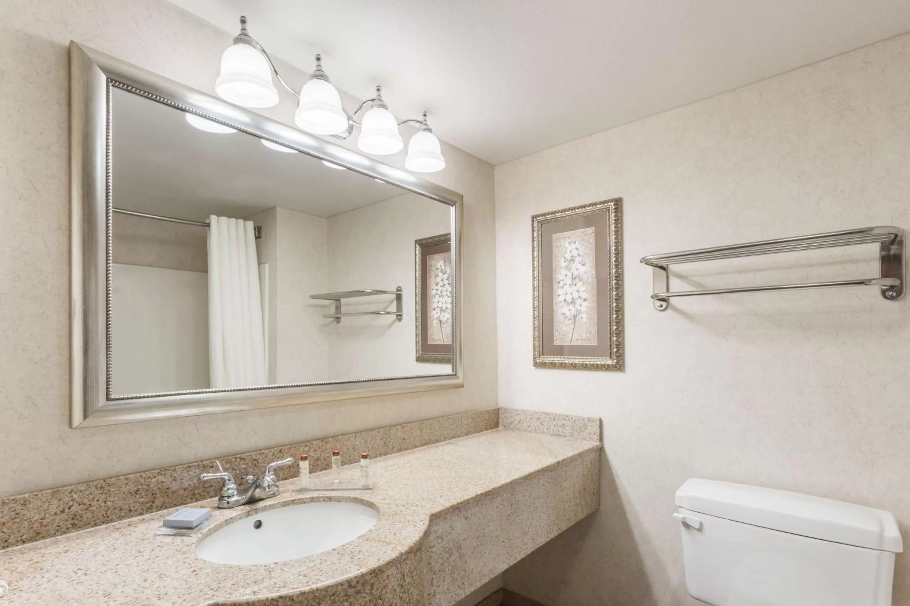 Deluxxe King Studio Suite - Mobility Accessible/Non-Smoking in Wingate by Wyndham Joliet
