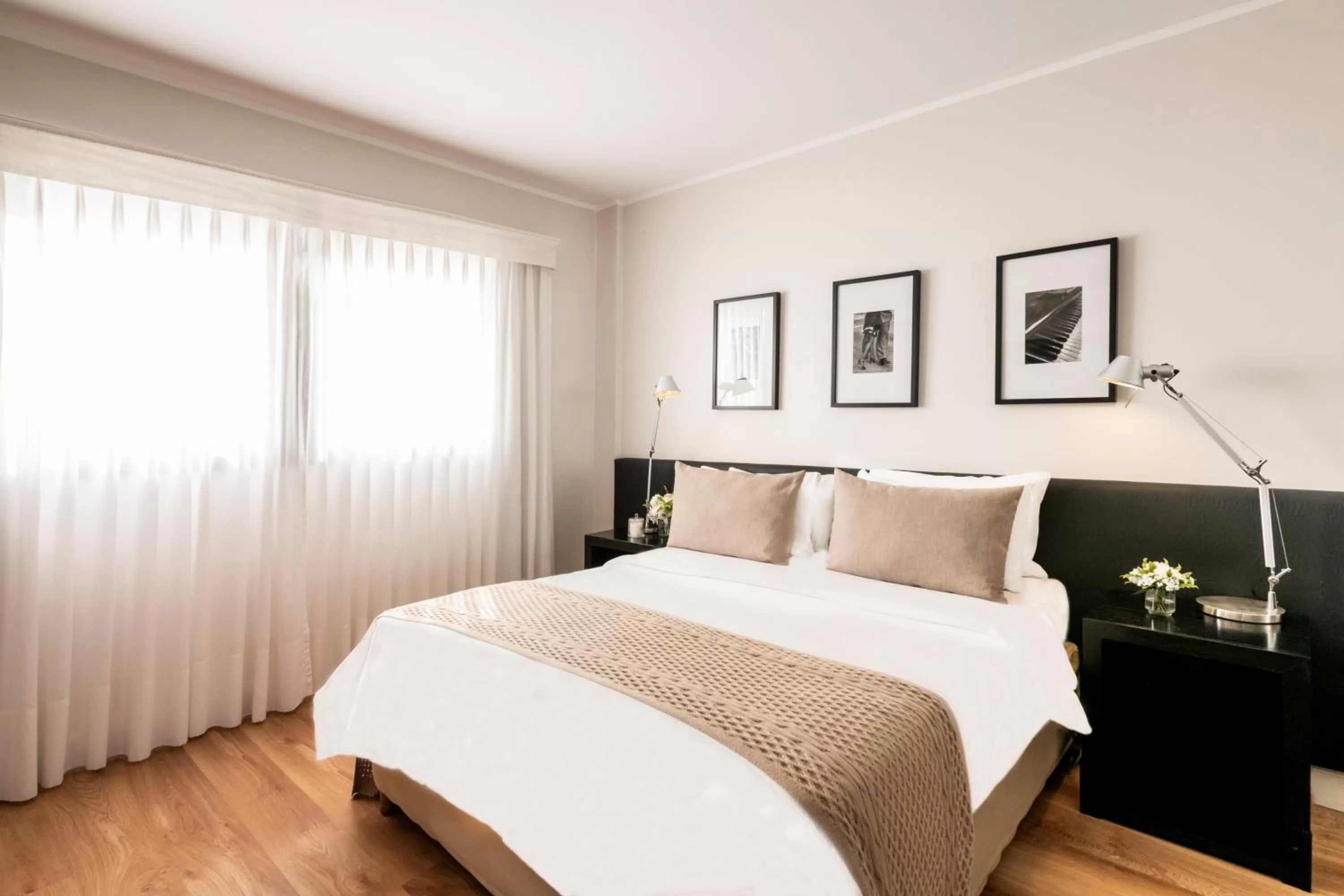 Junior Apartment in Principado Downtown