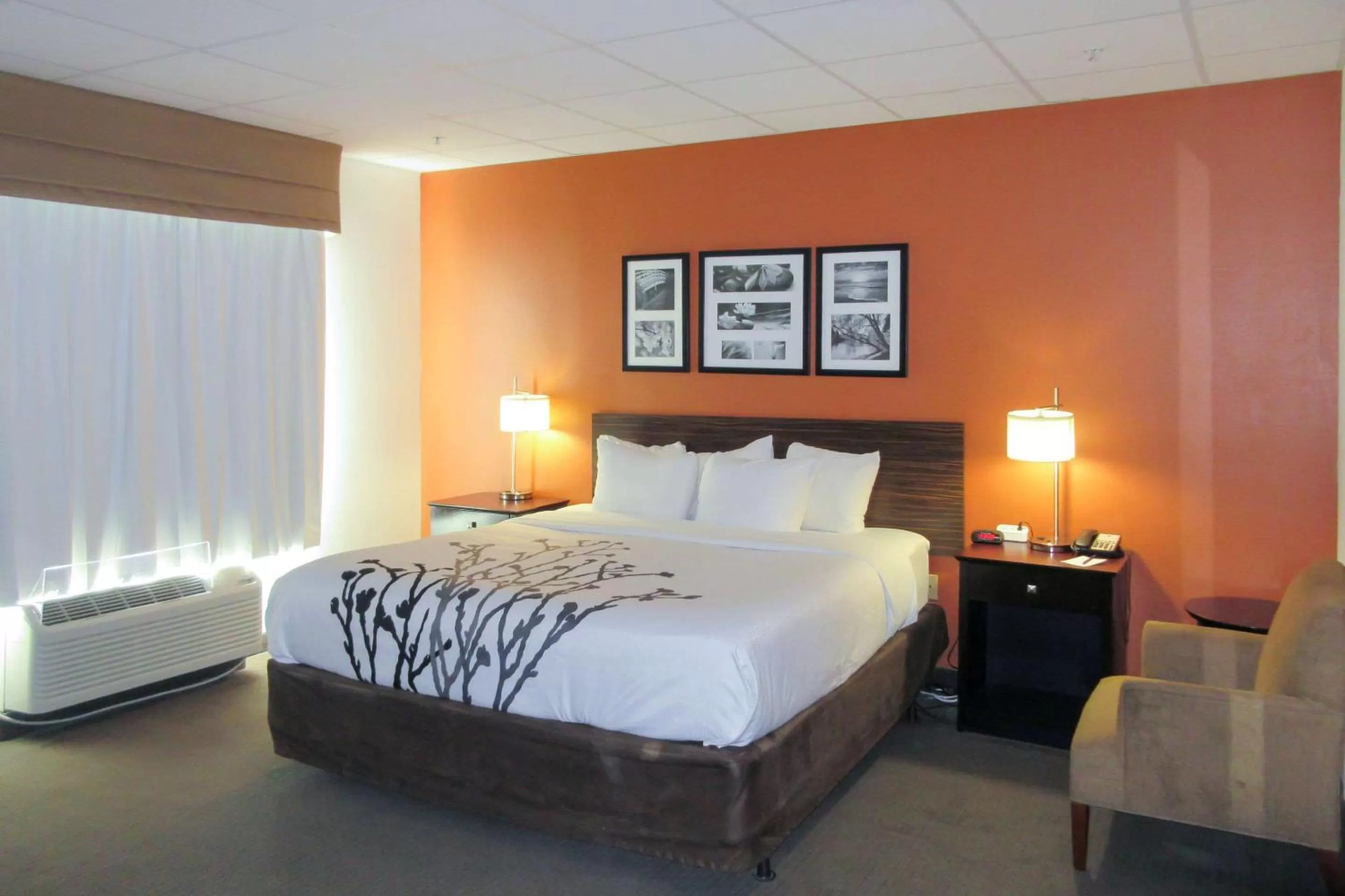 King Room - Non-Smoking in Sleep Inn & Suites Ft Lauderdale International Airport