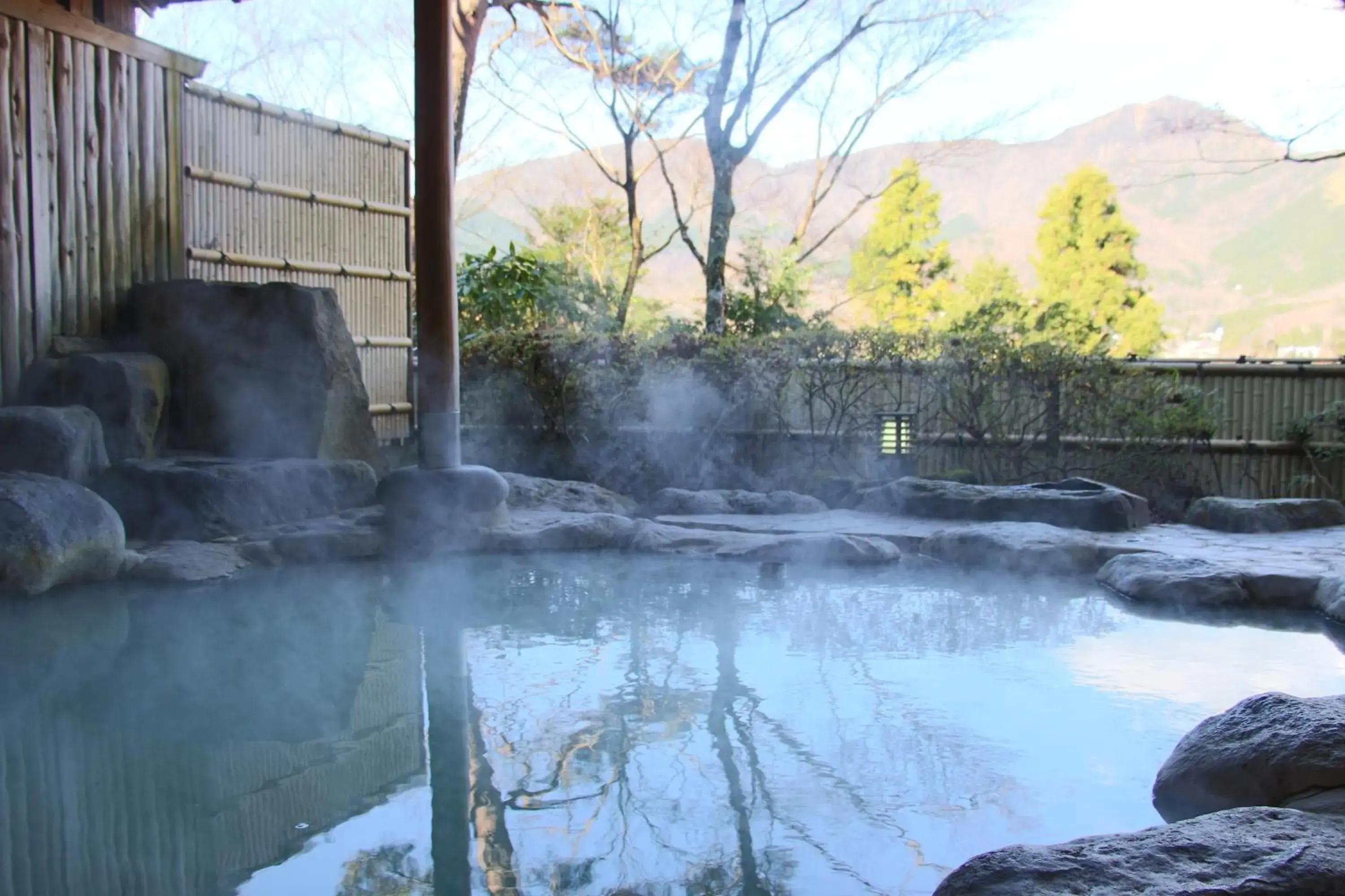 Senkyoro Senkyoro