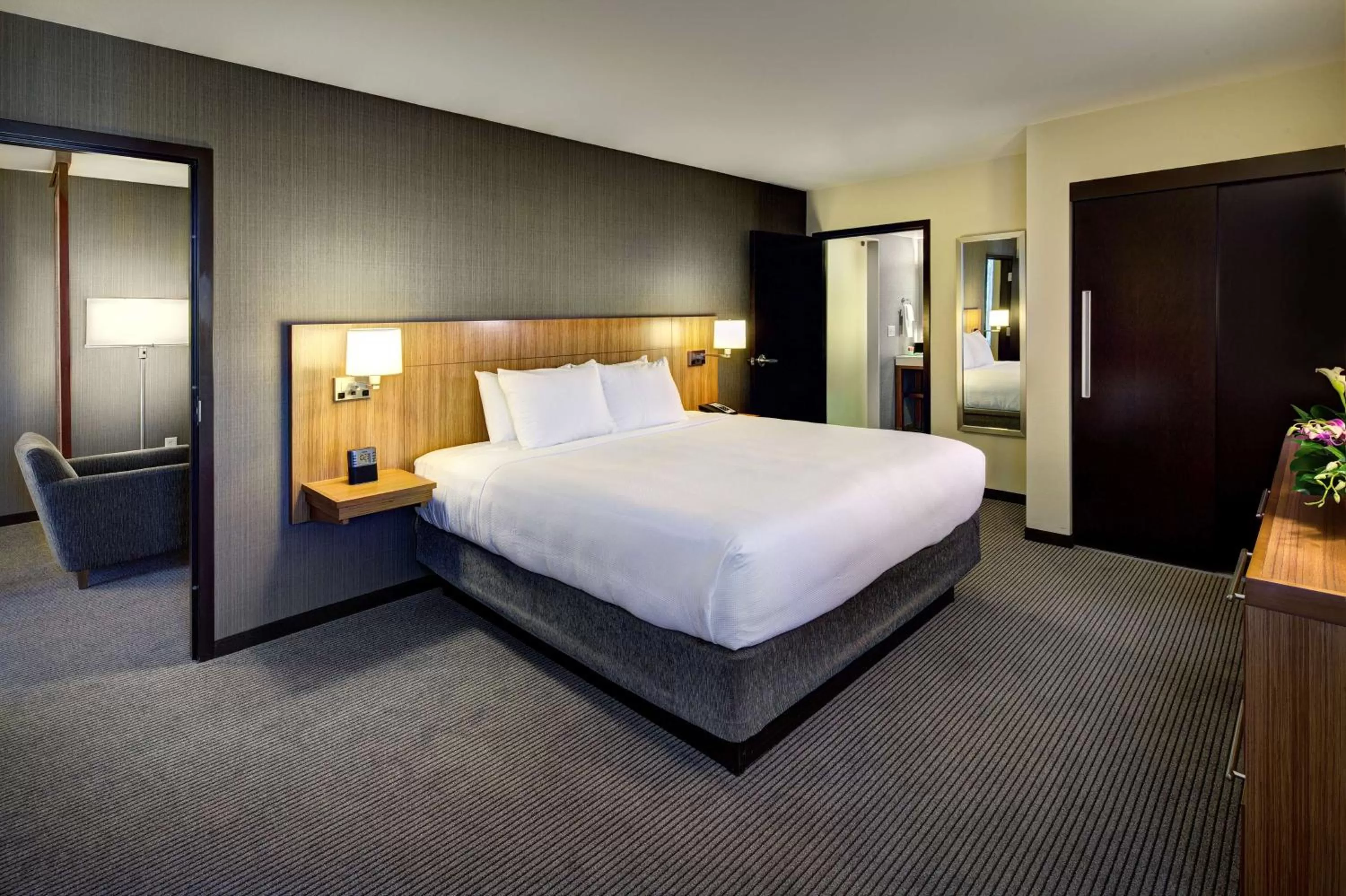 One-Bedroom King Suite with Sofa Bed in Hyatt Place UC Davis