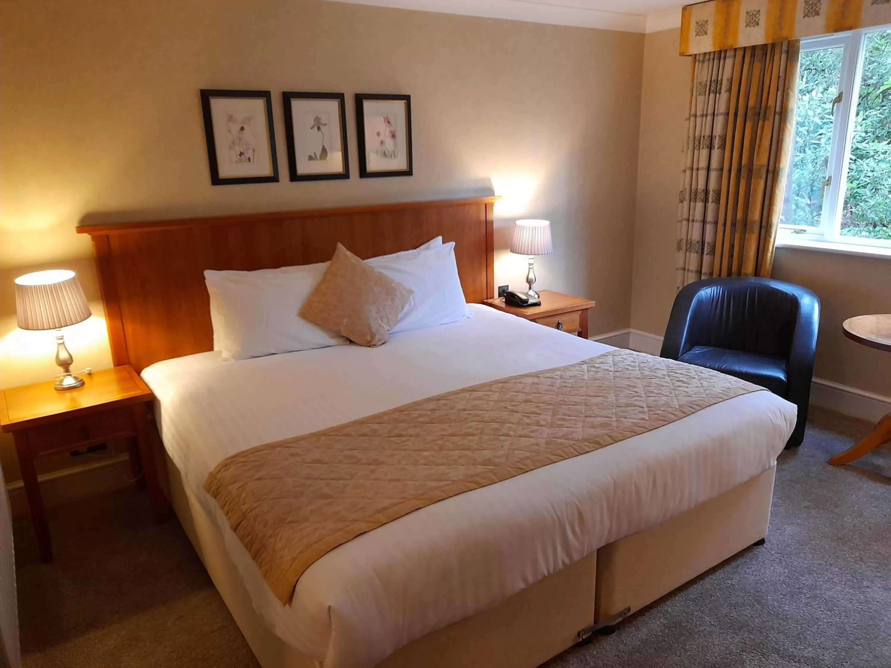 Executive Double Room in Lismoyne Hotel