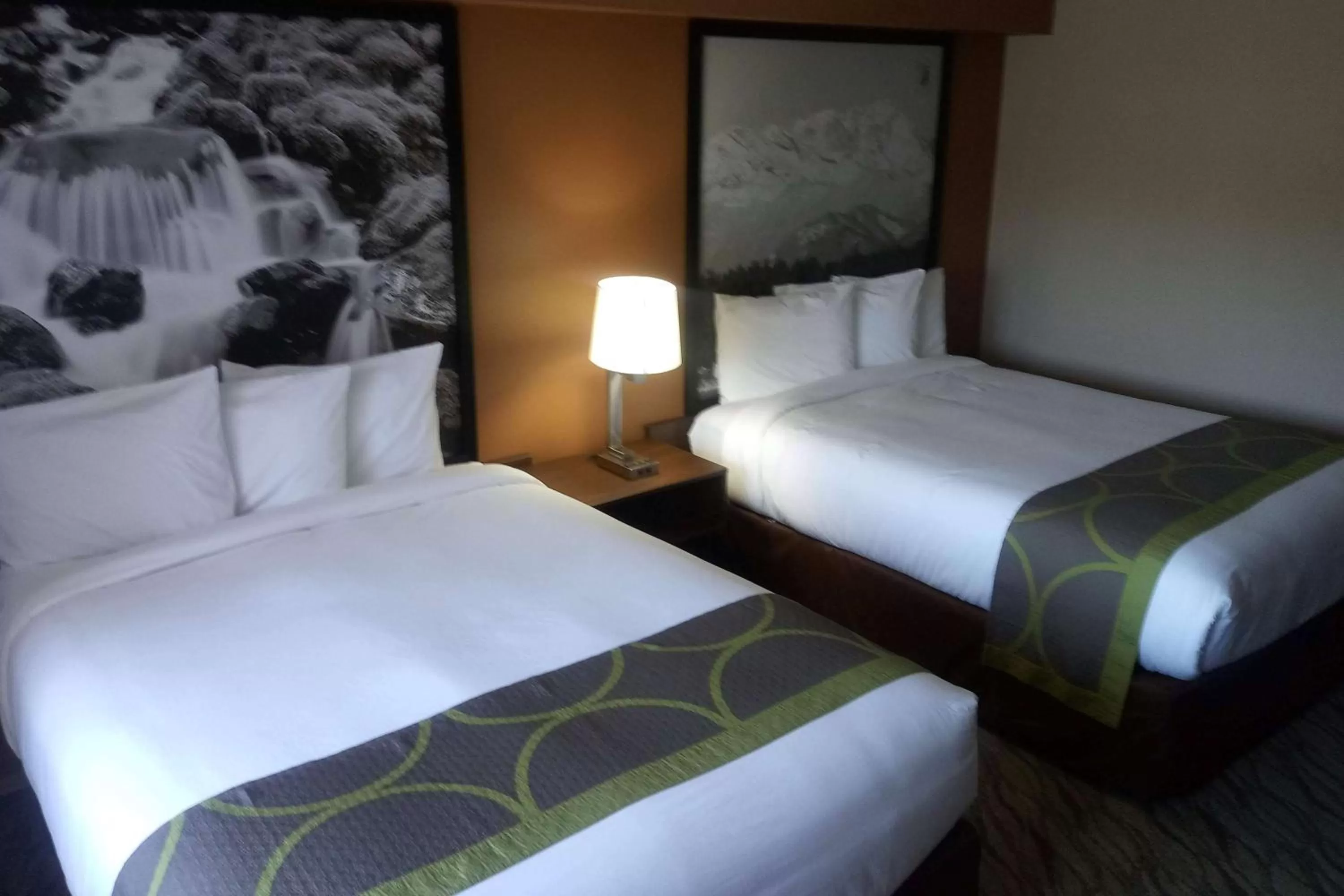 Queen Room with Two Queen Beds - Mobility Access/Non-Smoking in Super 8 by Wyndham Lynnwood