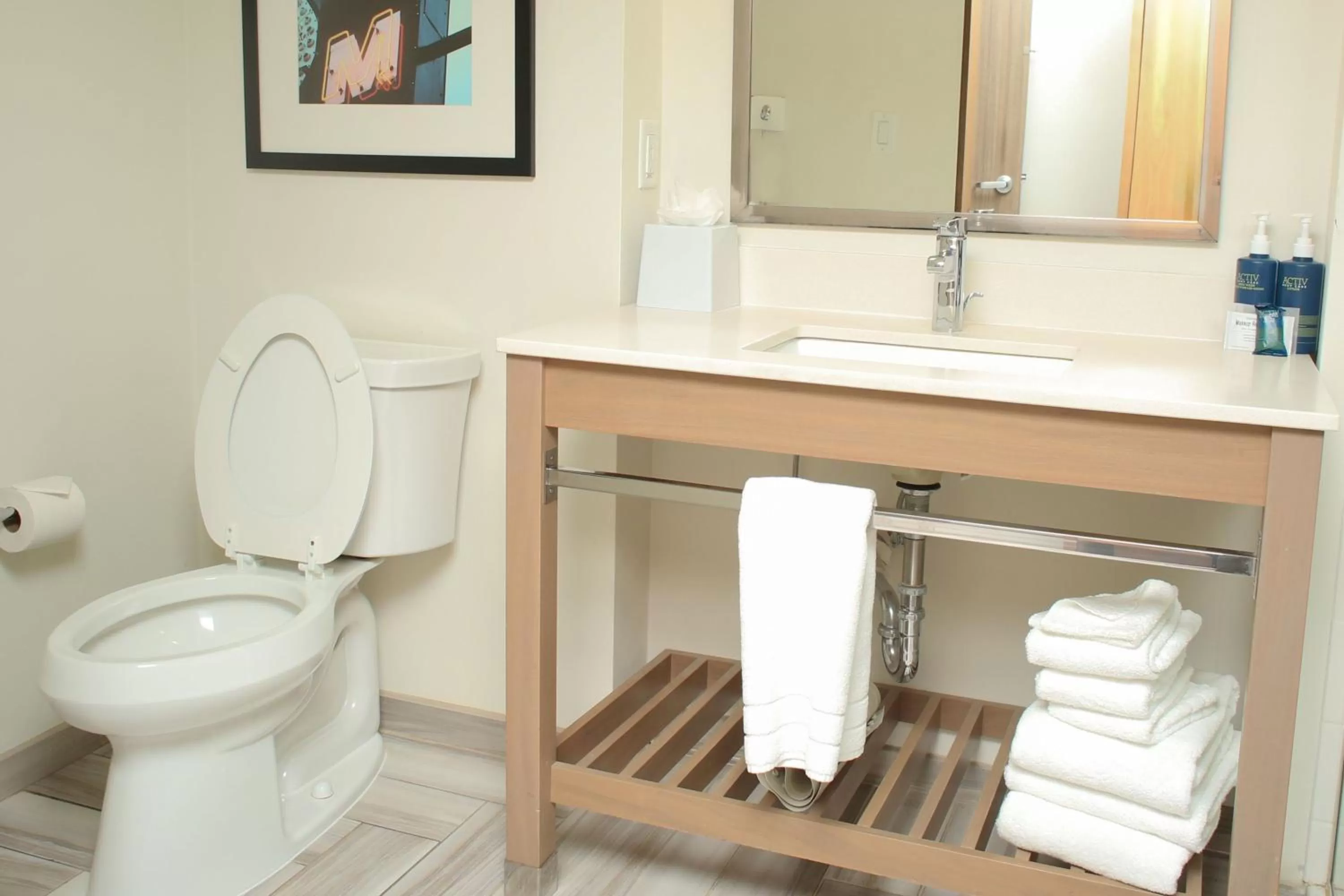 Queen Room in Four Points by Sheraton Midland