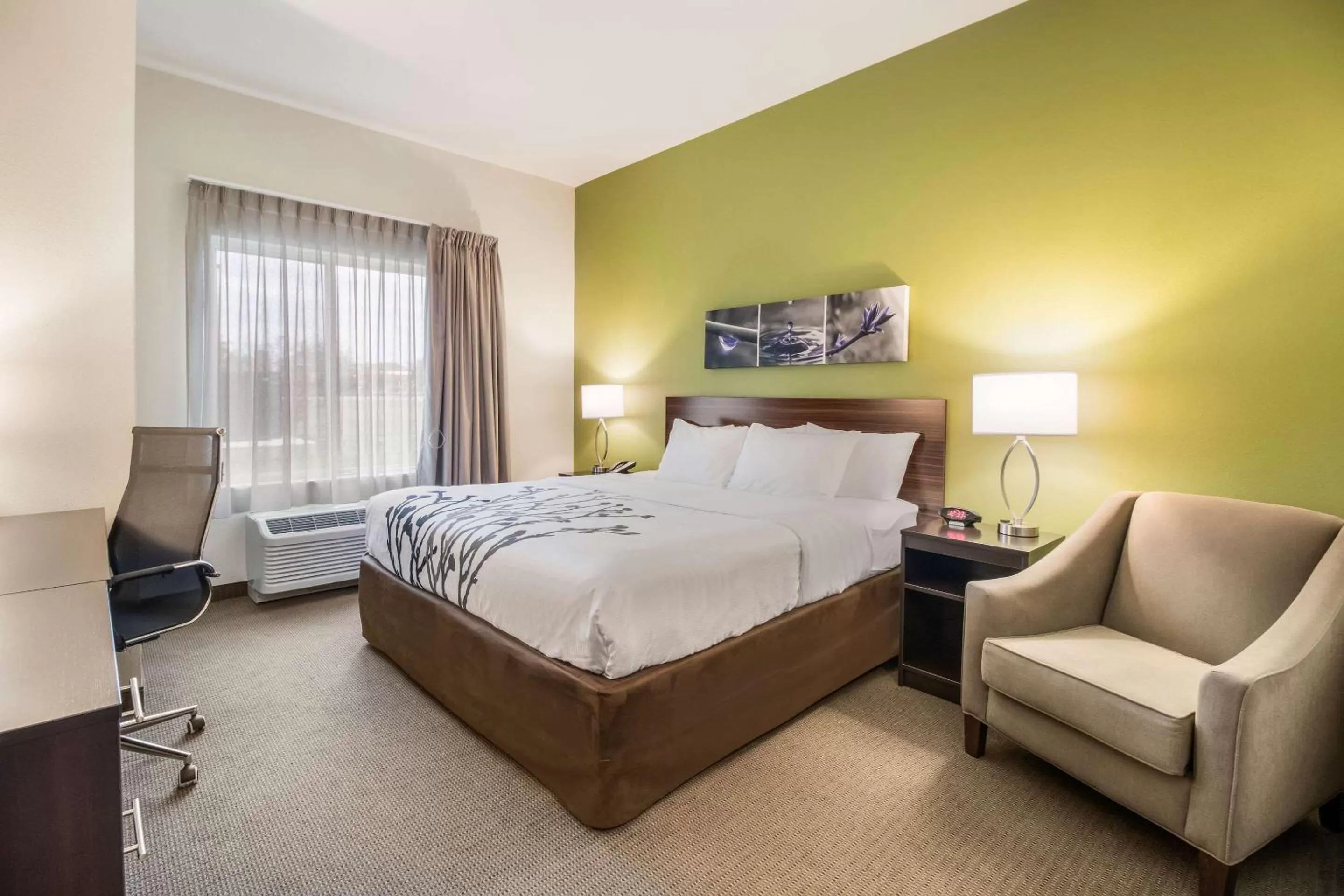 King Room - Non-Smoking in Sleep Inn