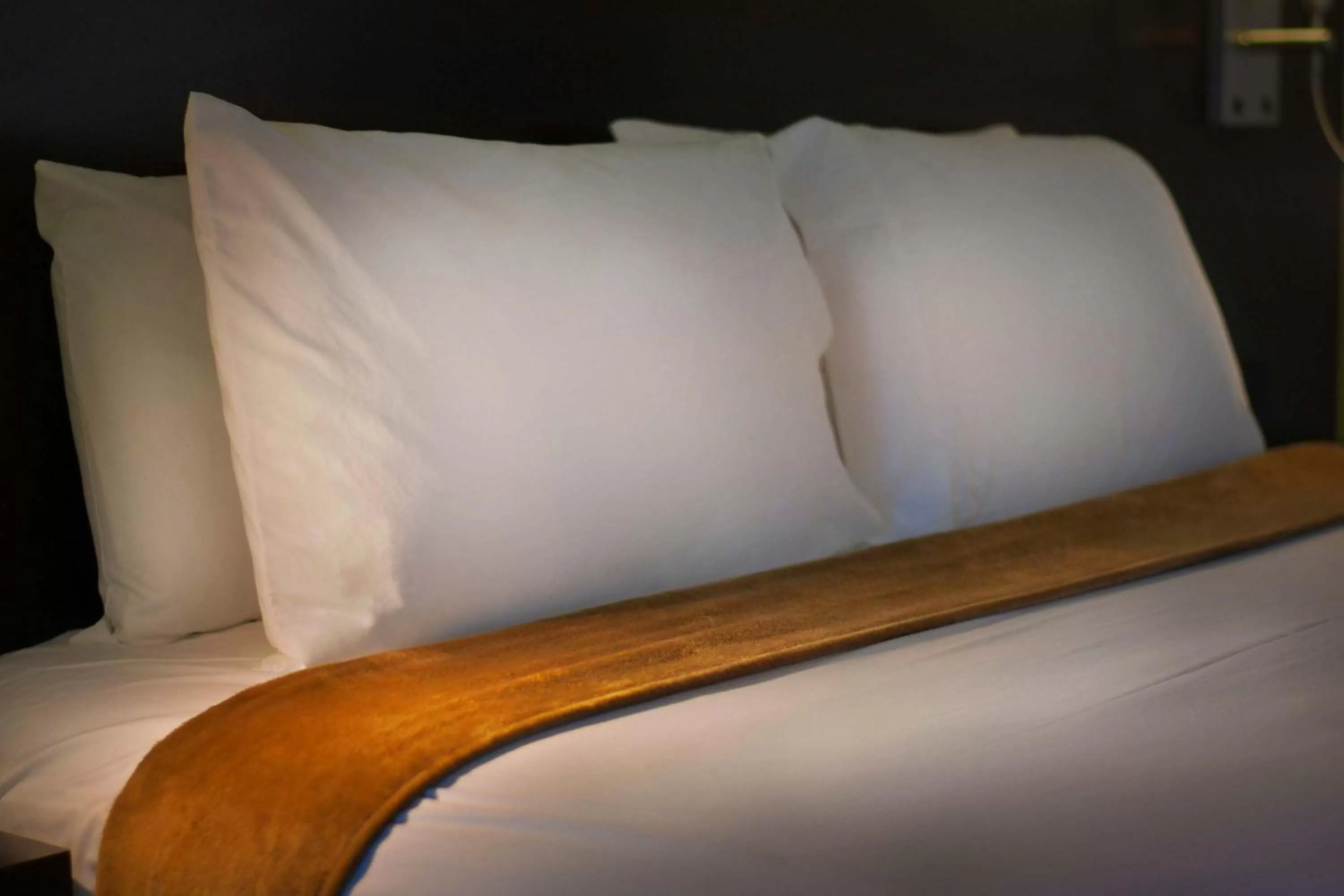 Superior Double Room in Foothills Motel