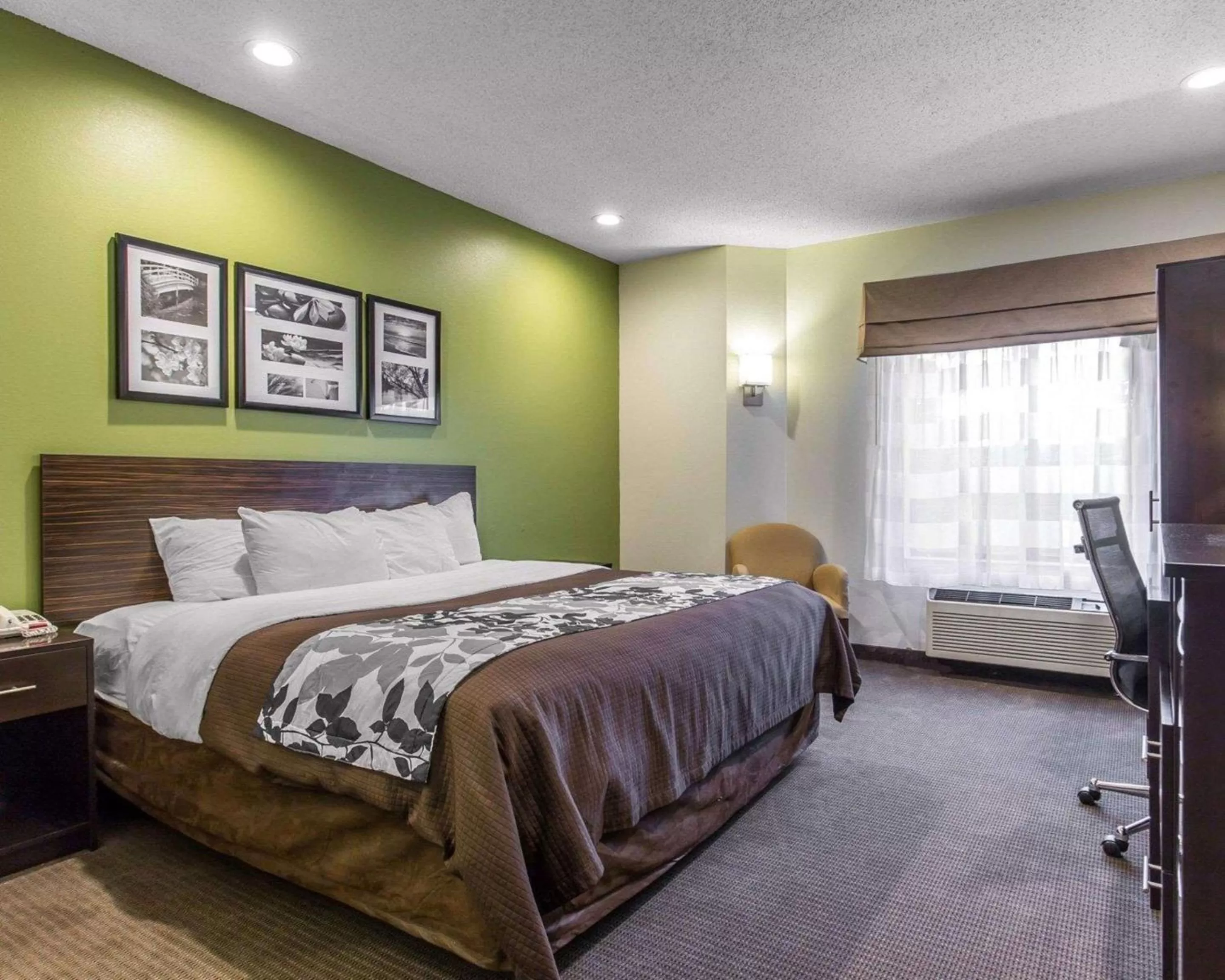 King Room - Non-Smoking in Sleep Inn Columbia