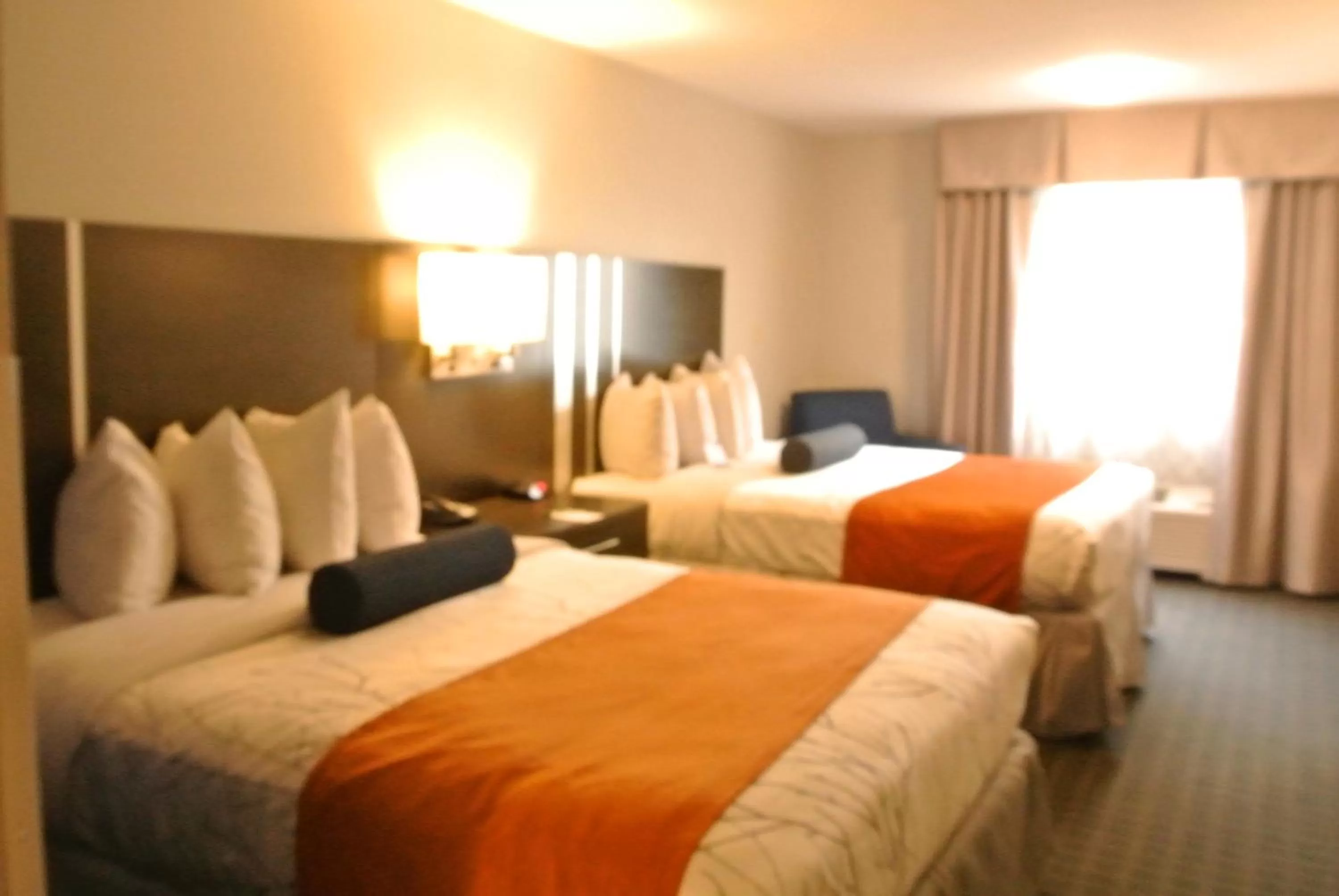 Queen Room with Two Queen Beds - Disability Access in Guesthouse Inn & Suites Lexington