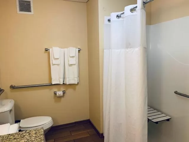 King Room with Mobility/Hearing Impaired Access - Non-Smoking in Wingate by Wyndham Elkins