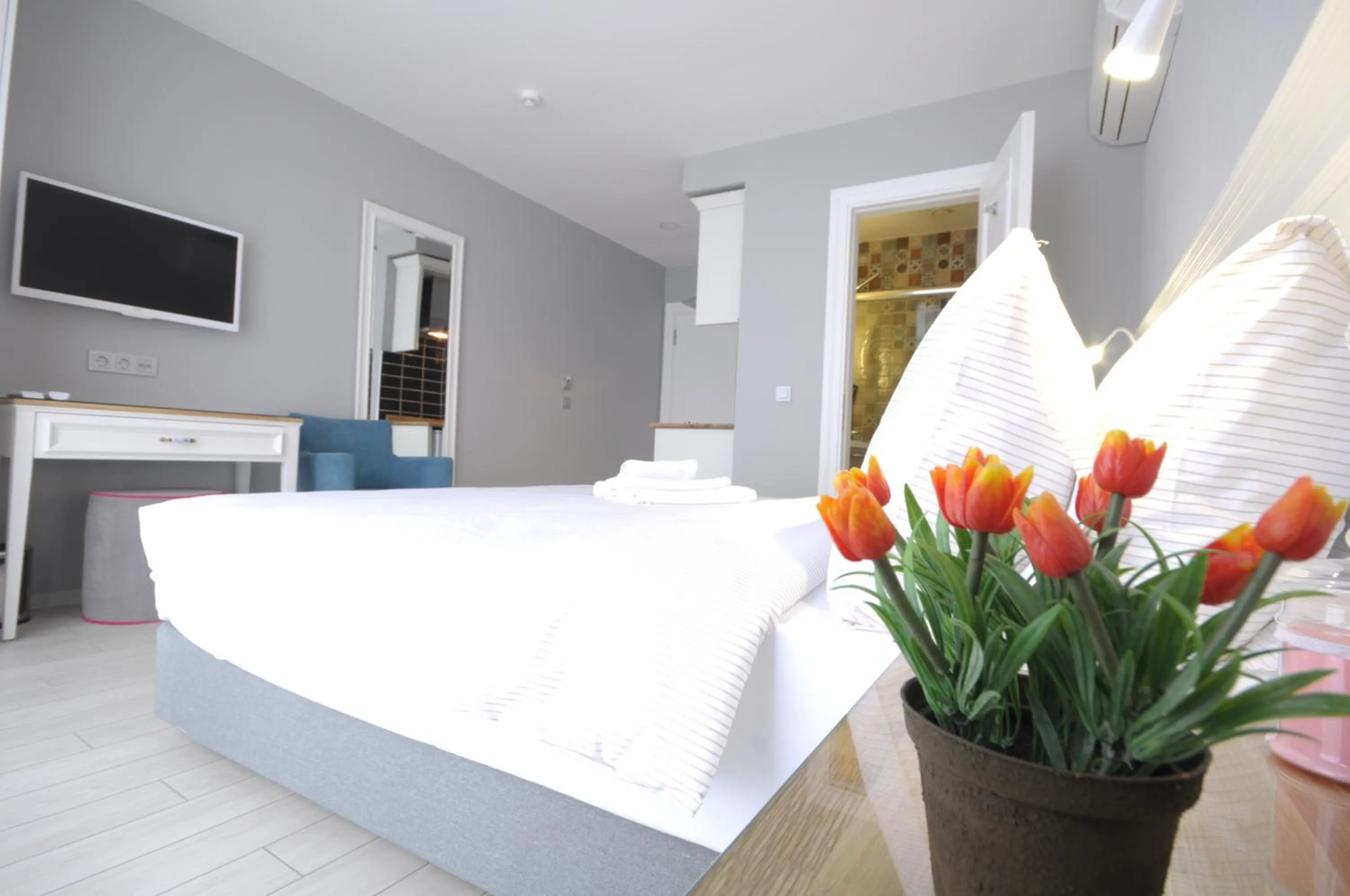 Superior Double or Twin Studio in Ada Home Istanbul