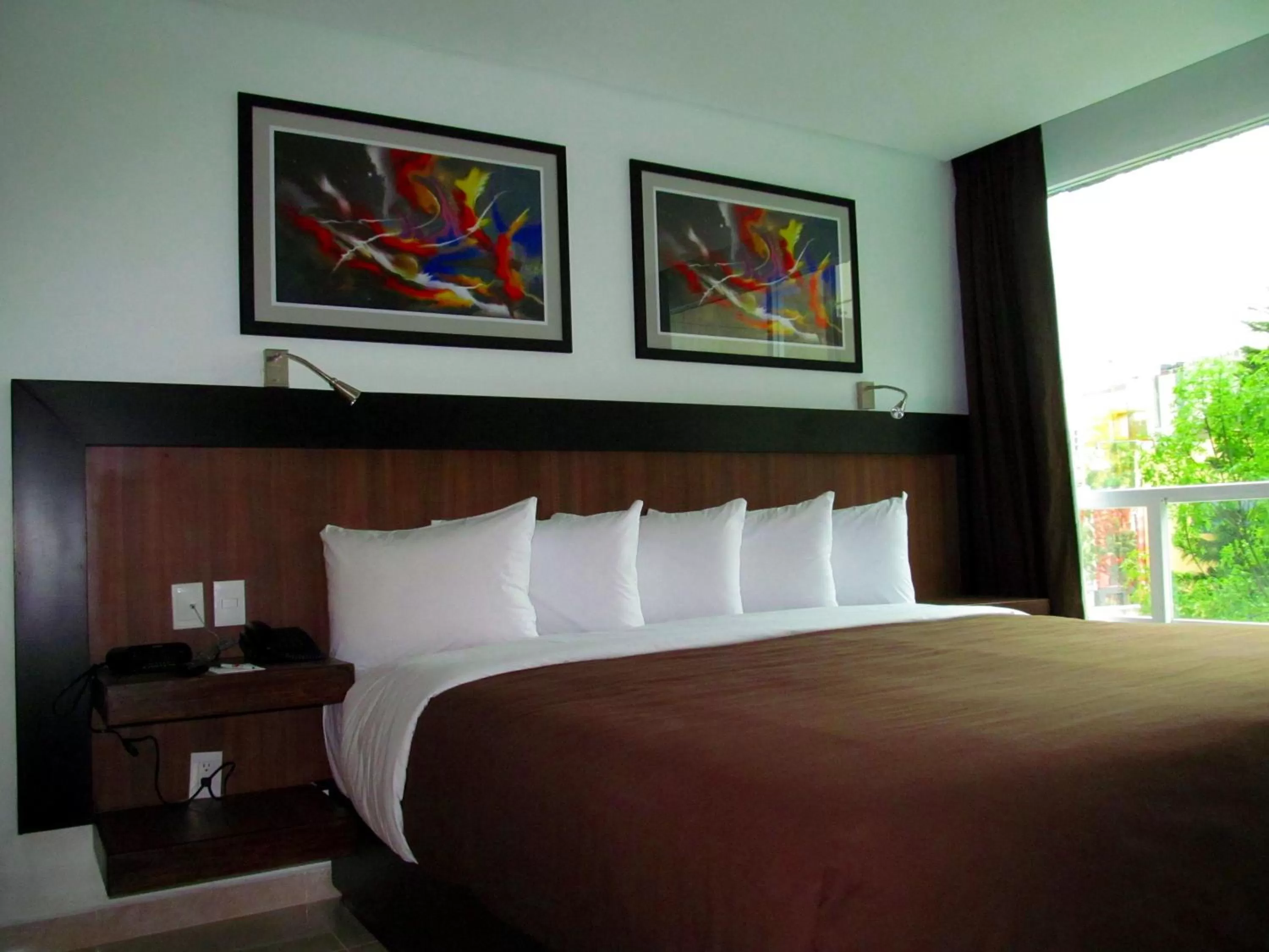 Deluxe King Room in Hotel & Suites PF