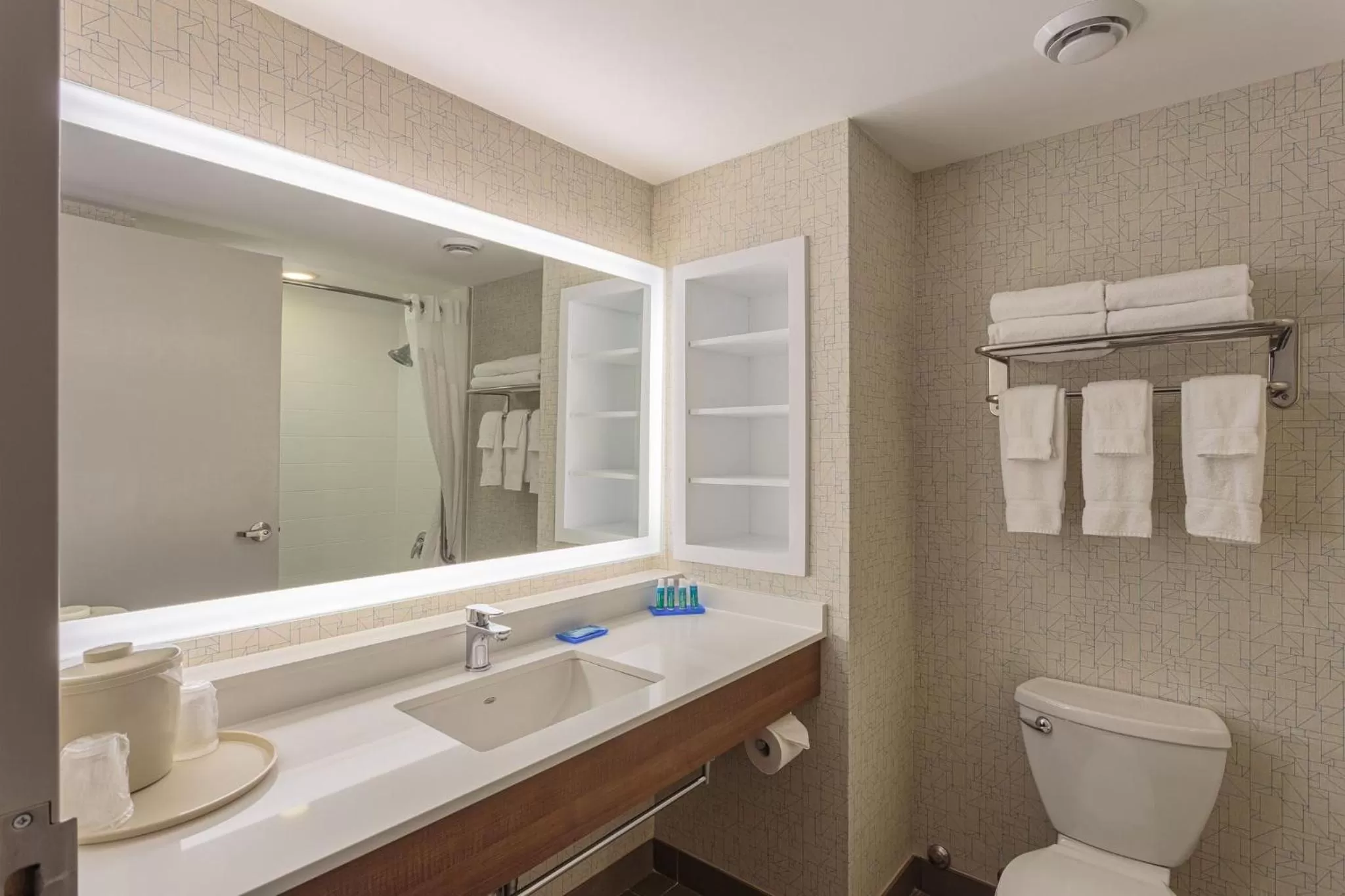 One-Bedroom Suite in Holiday Inn Express & Suites - Belleville by IHG