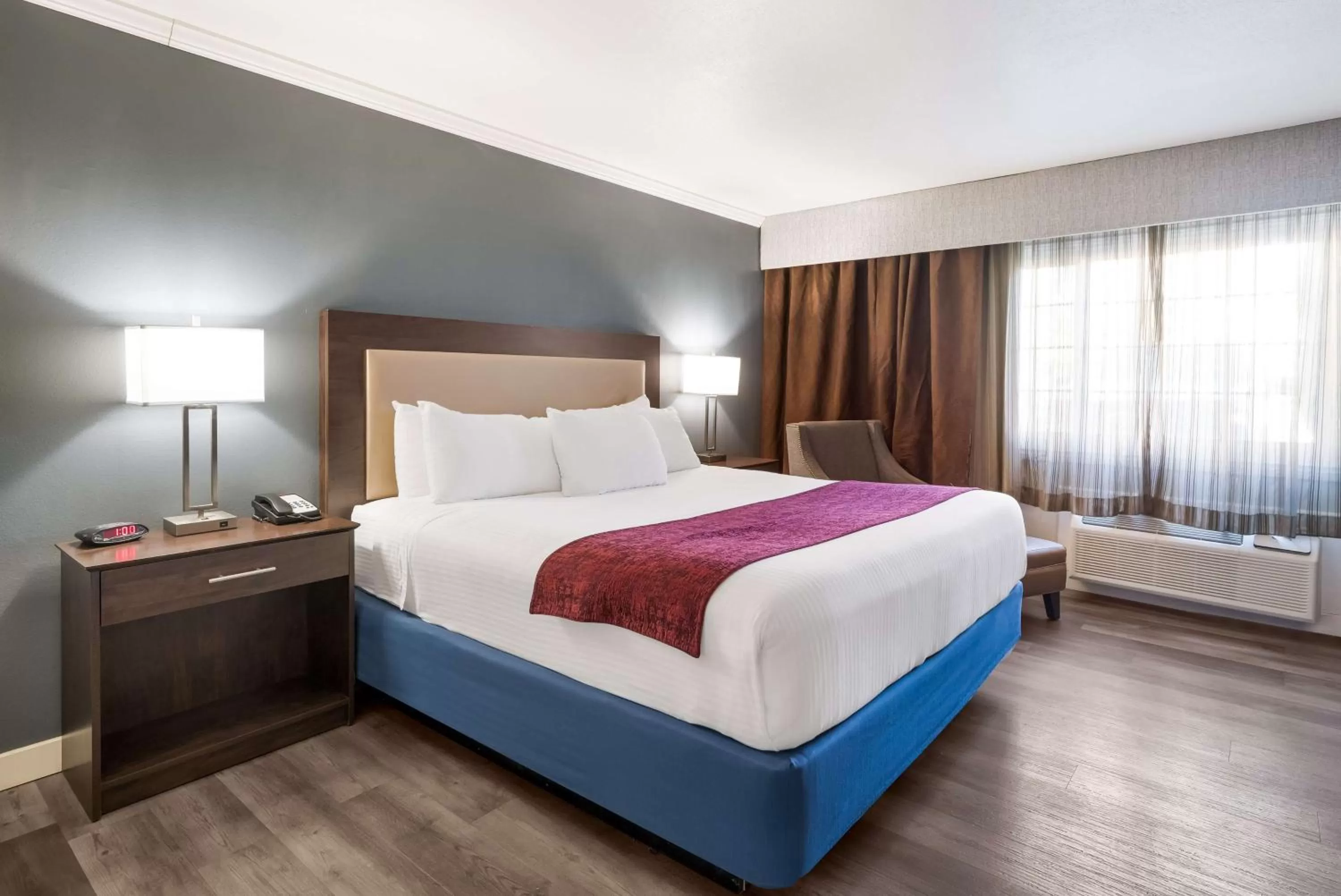 King Room with Roll-In Shower - Disability Access in Best Western Mountain View Inn