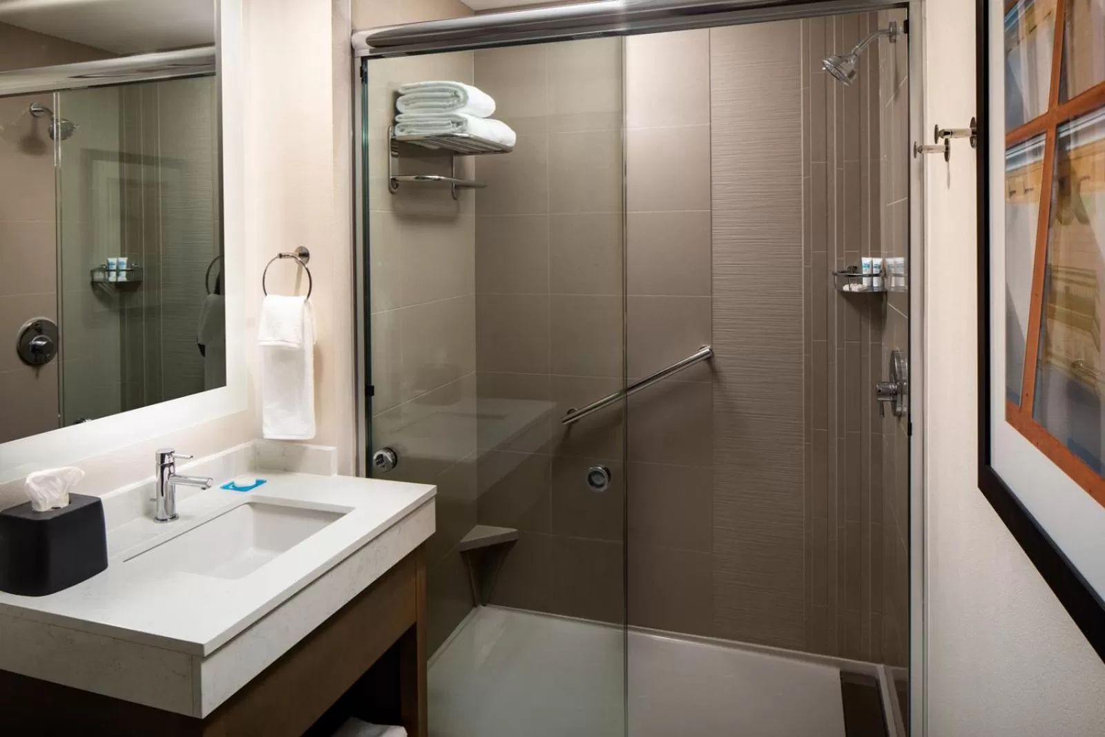 One-Bedroom King Suite with Sofa Bed and Kitchen in Hyatt House Tallahassee Capitol University