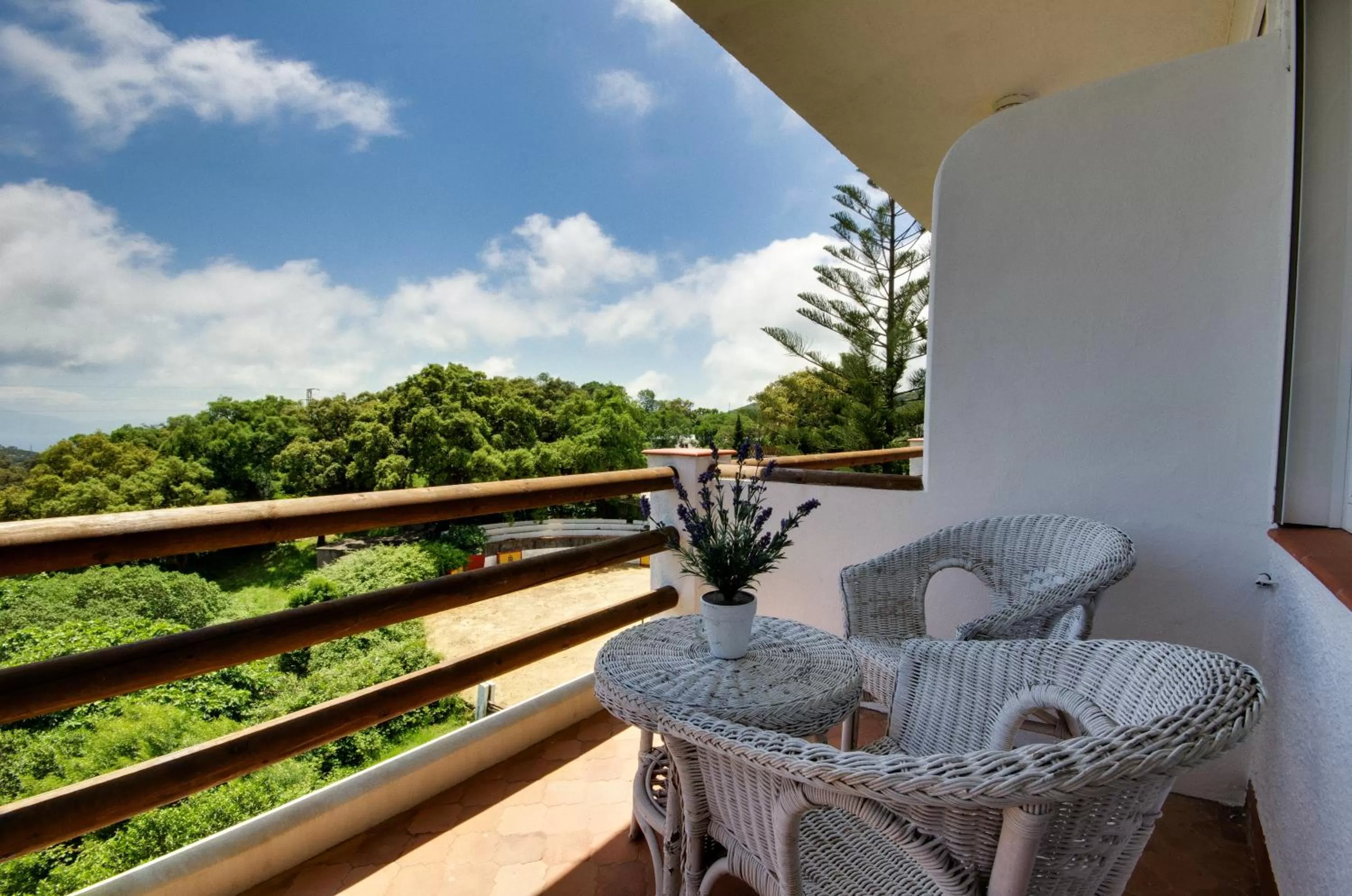 Superior Twin Room with Terrace in Mesón de Sancho