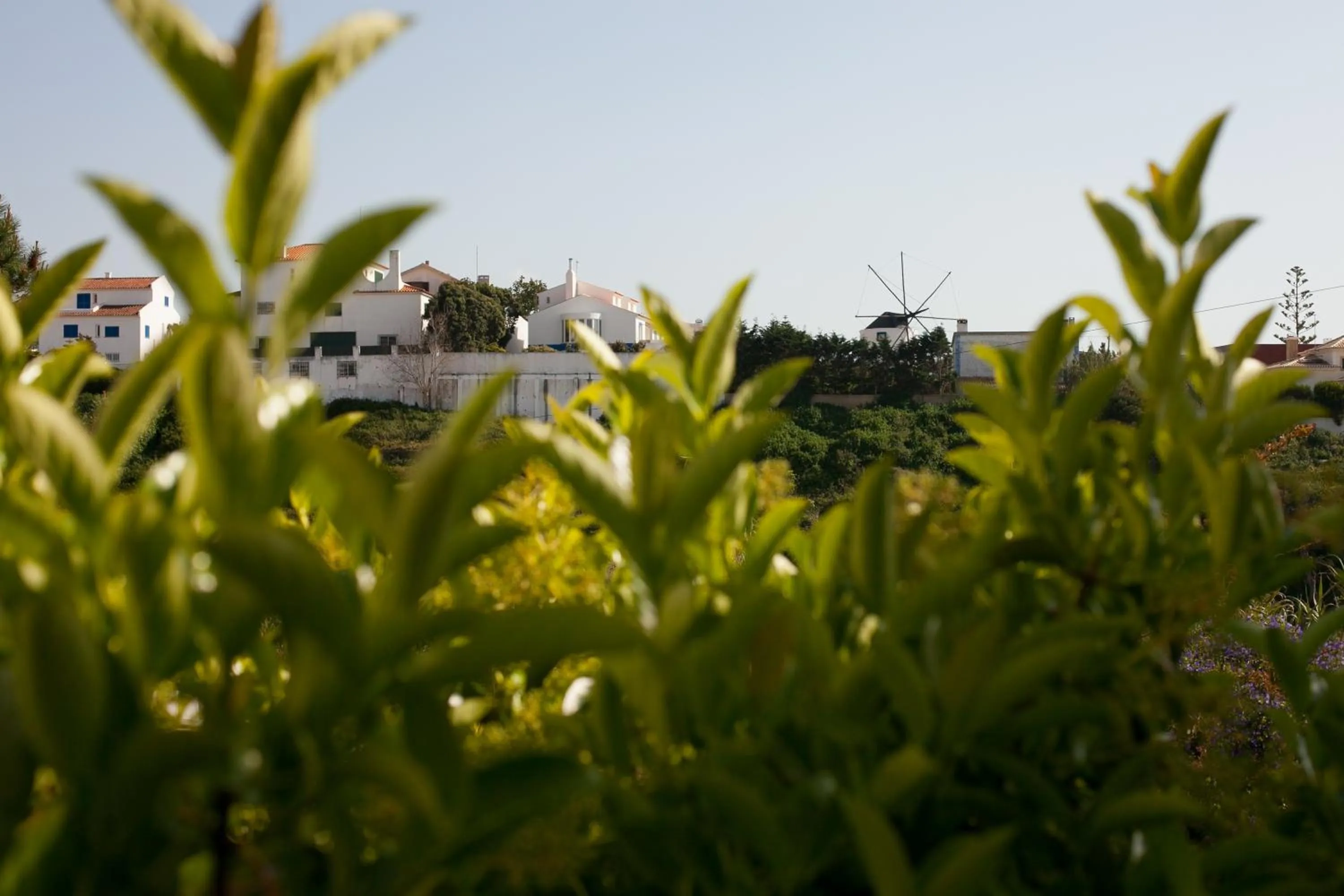 Bed in 8-Bed Dormitory Room in Ericeira Chill Hill Hostel & Private Rooms - Peach Garden