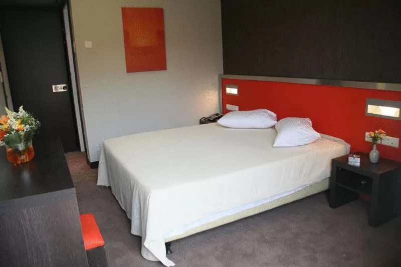 Double or Twin Room in Hotel Des Roses