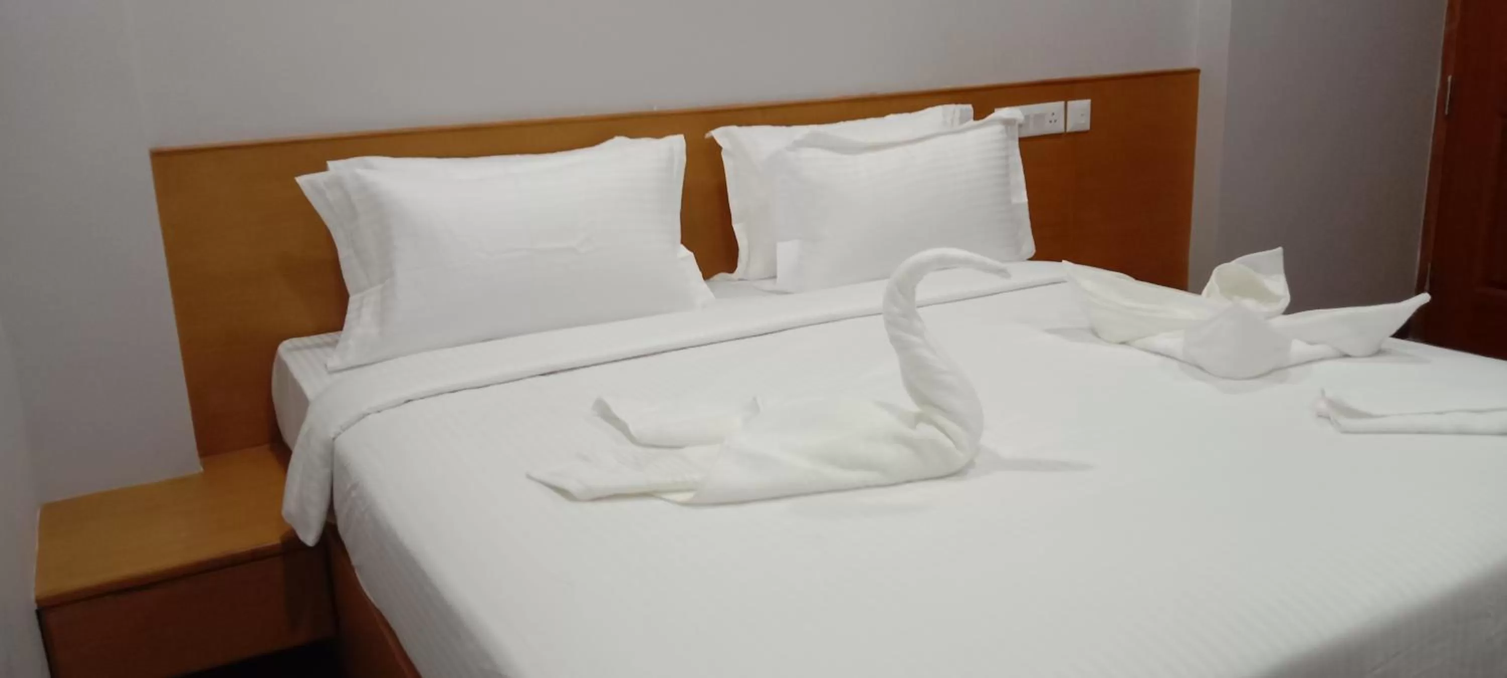 Standard Double Room in MOSHIS NEST