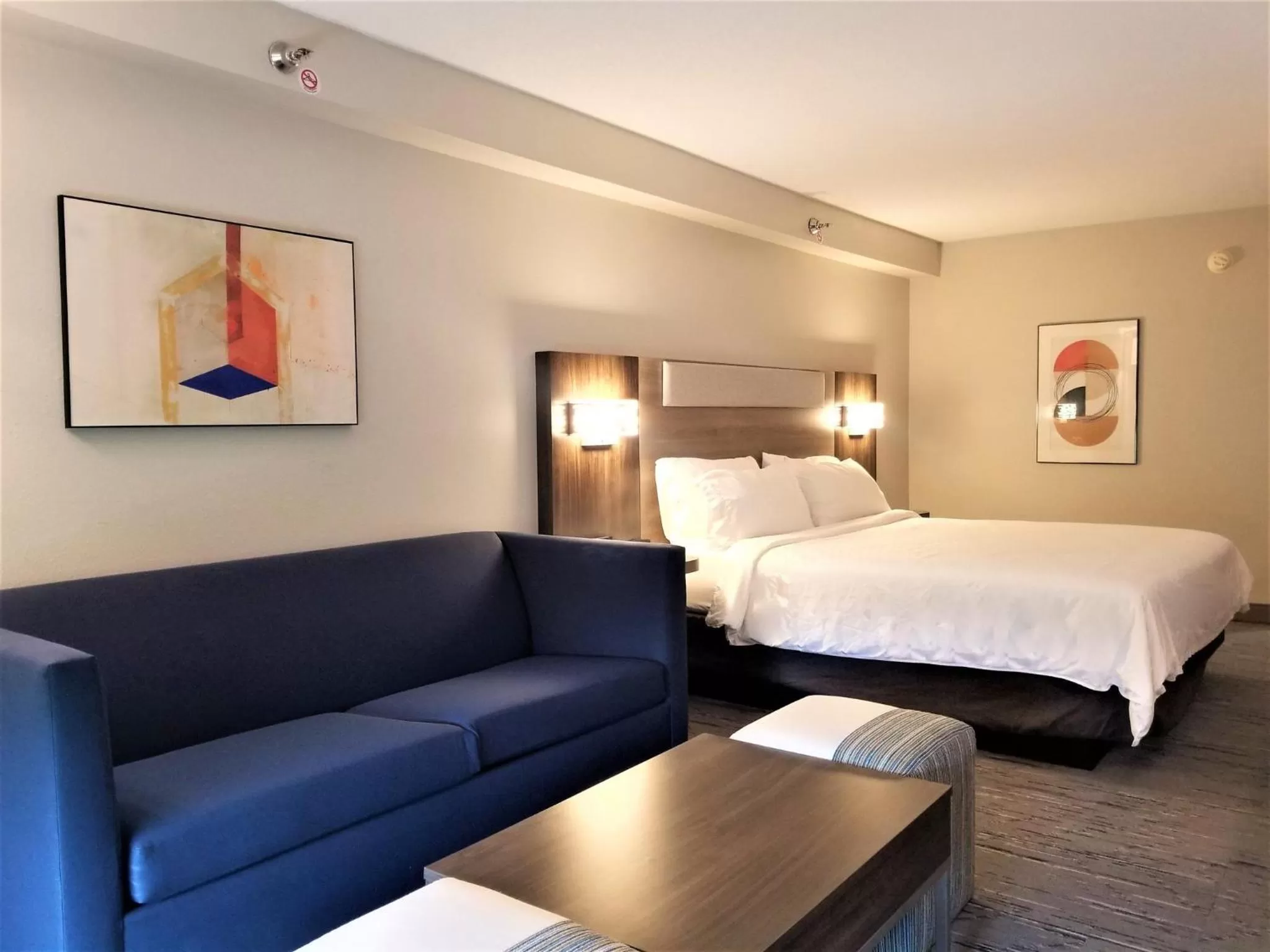 Standard King Room with Sofa Bed in Holiday Inn Express Apex - Raleigh by IHG