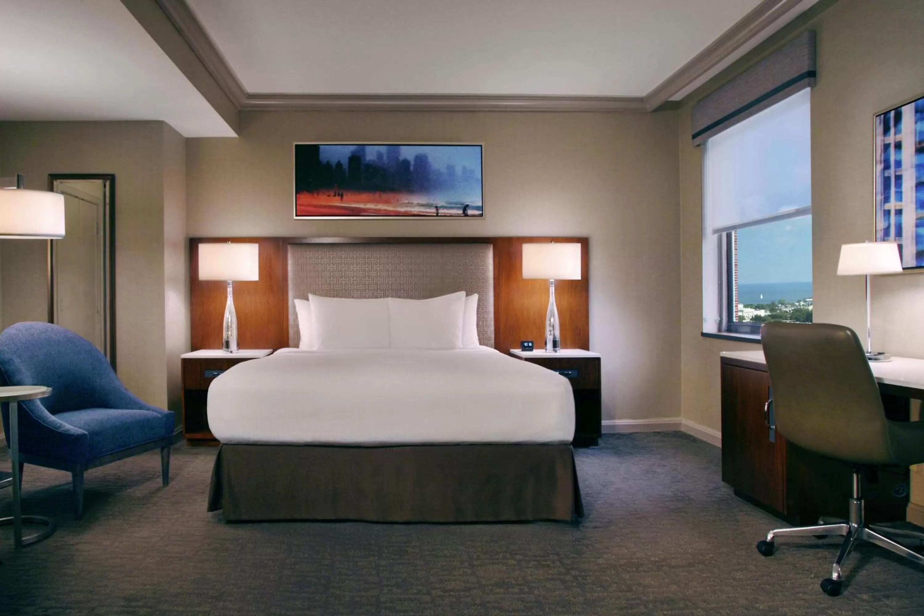 King Room with Lake View - Disability Accessible in Hilton Chicago