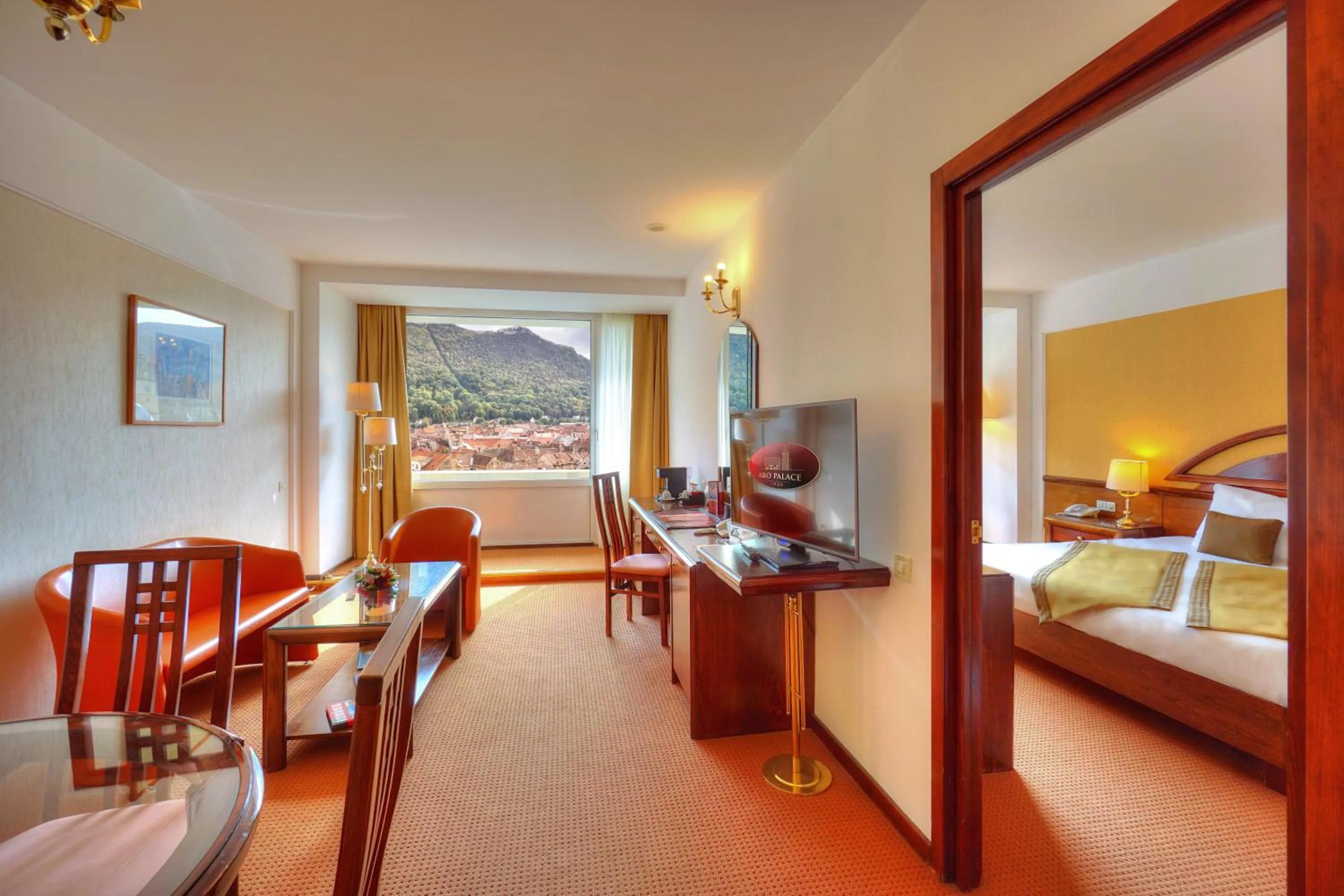 Apartment with Spa Access  - single occupancy in Hotel Aro Palace