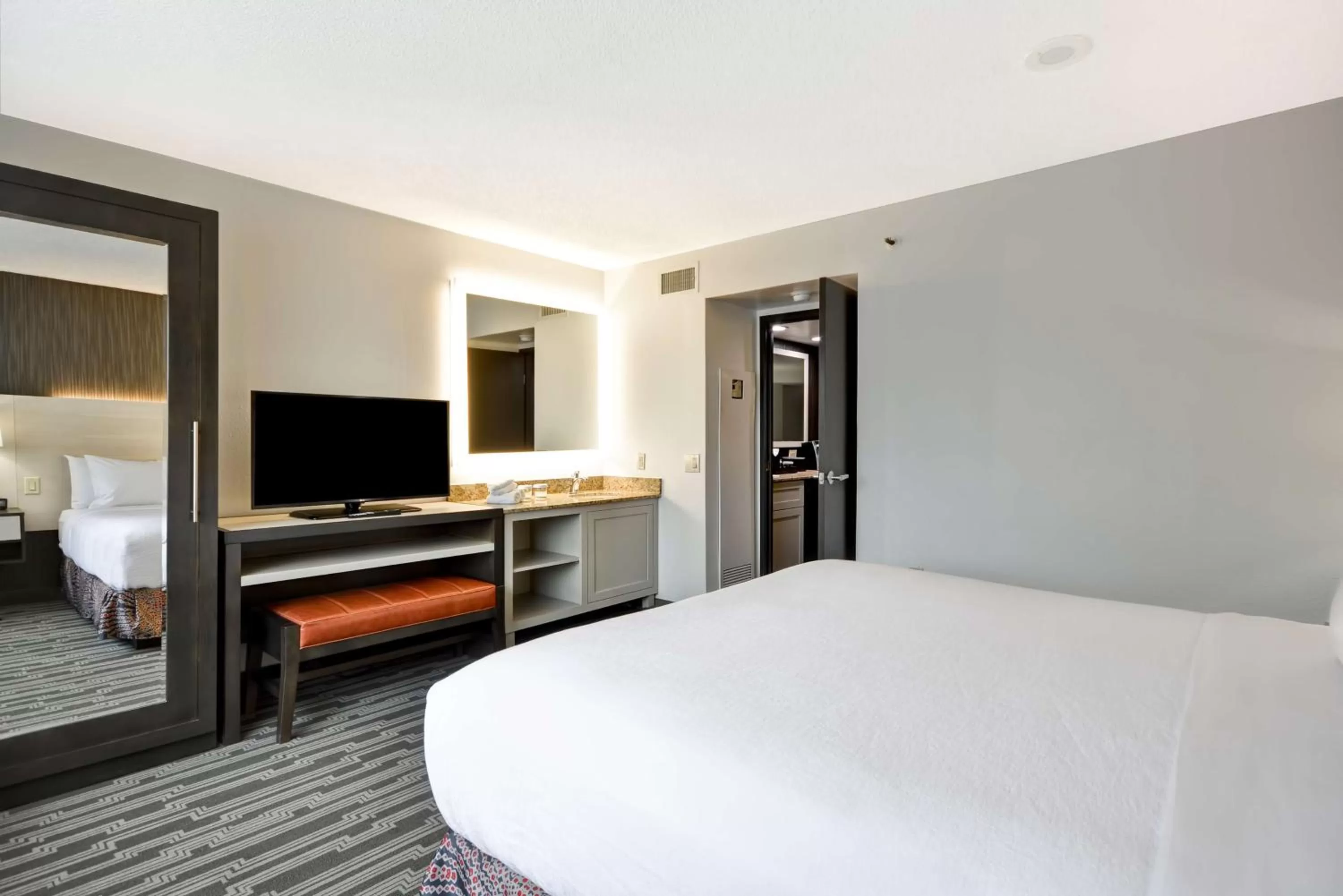 King Suite with Roll-In Shower - Mobility/Hearing Accessible - Non-Smoking in Embassy Suites Charlotte