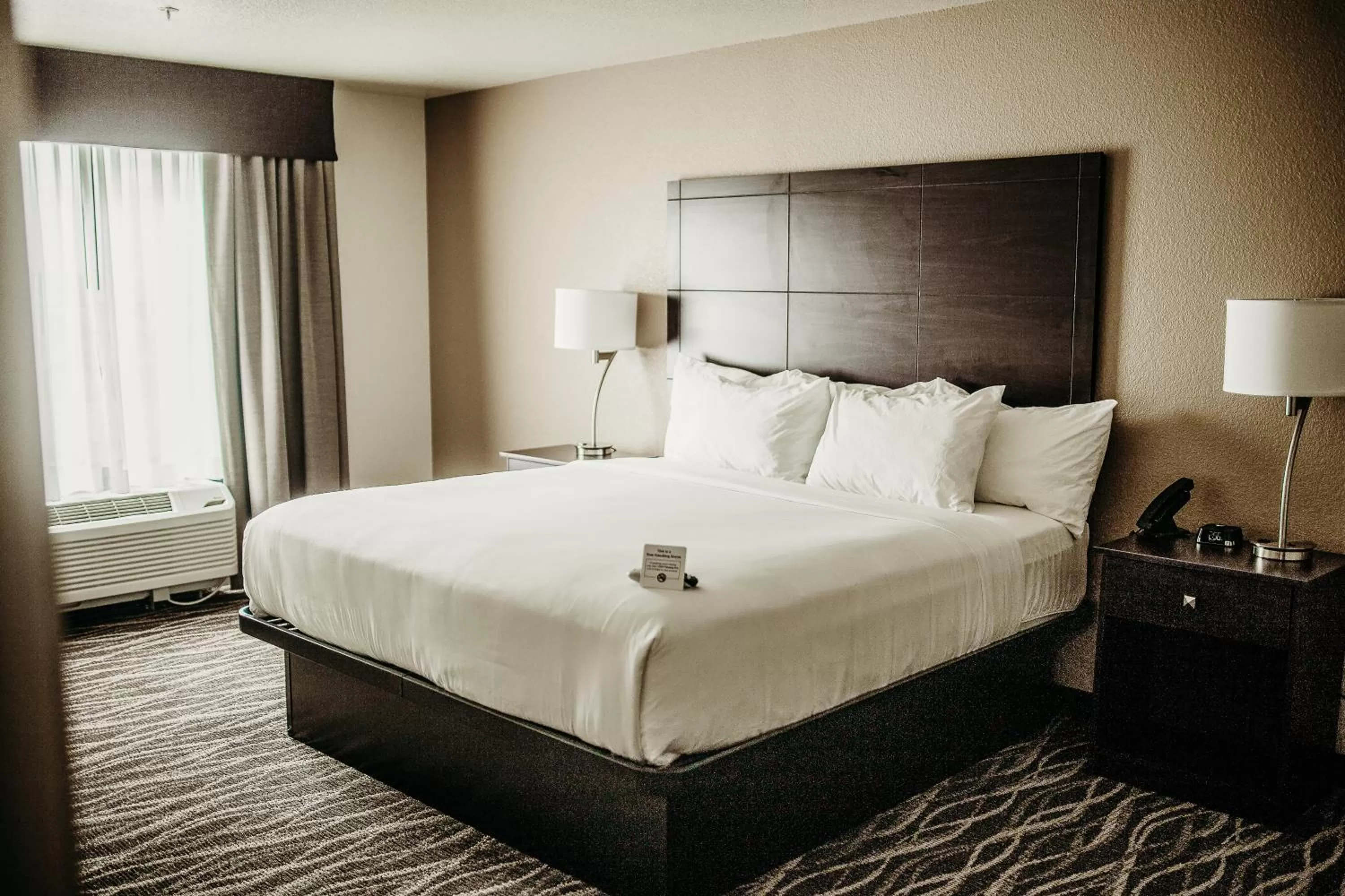 King Room - Disability Access in Cobblestone Hotel & Suites International Falls