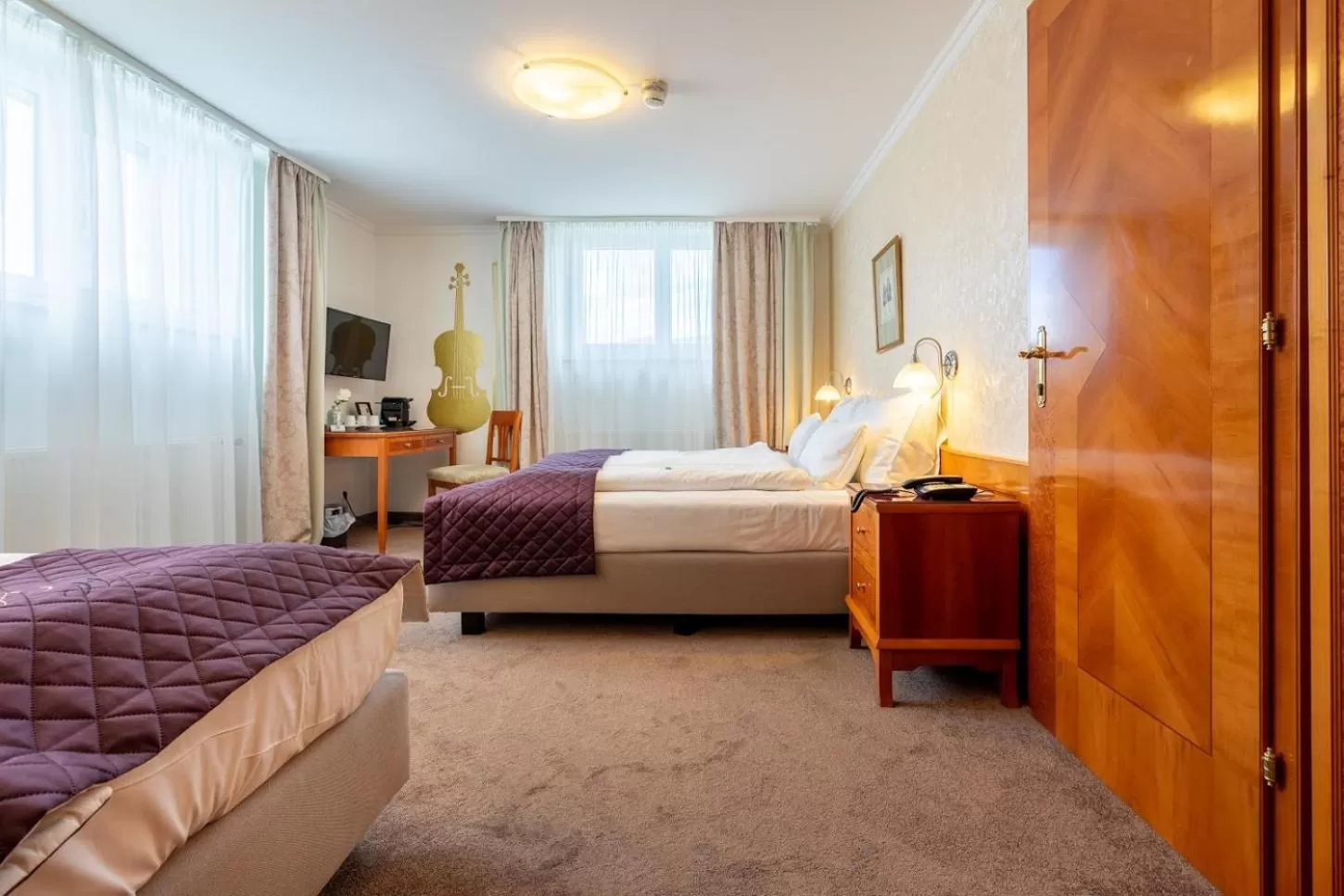 Superior Room in Hotel Am Schubertring