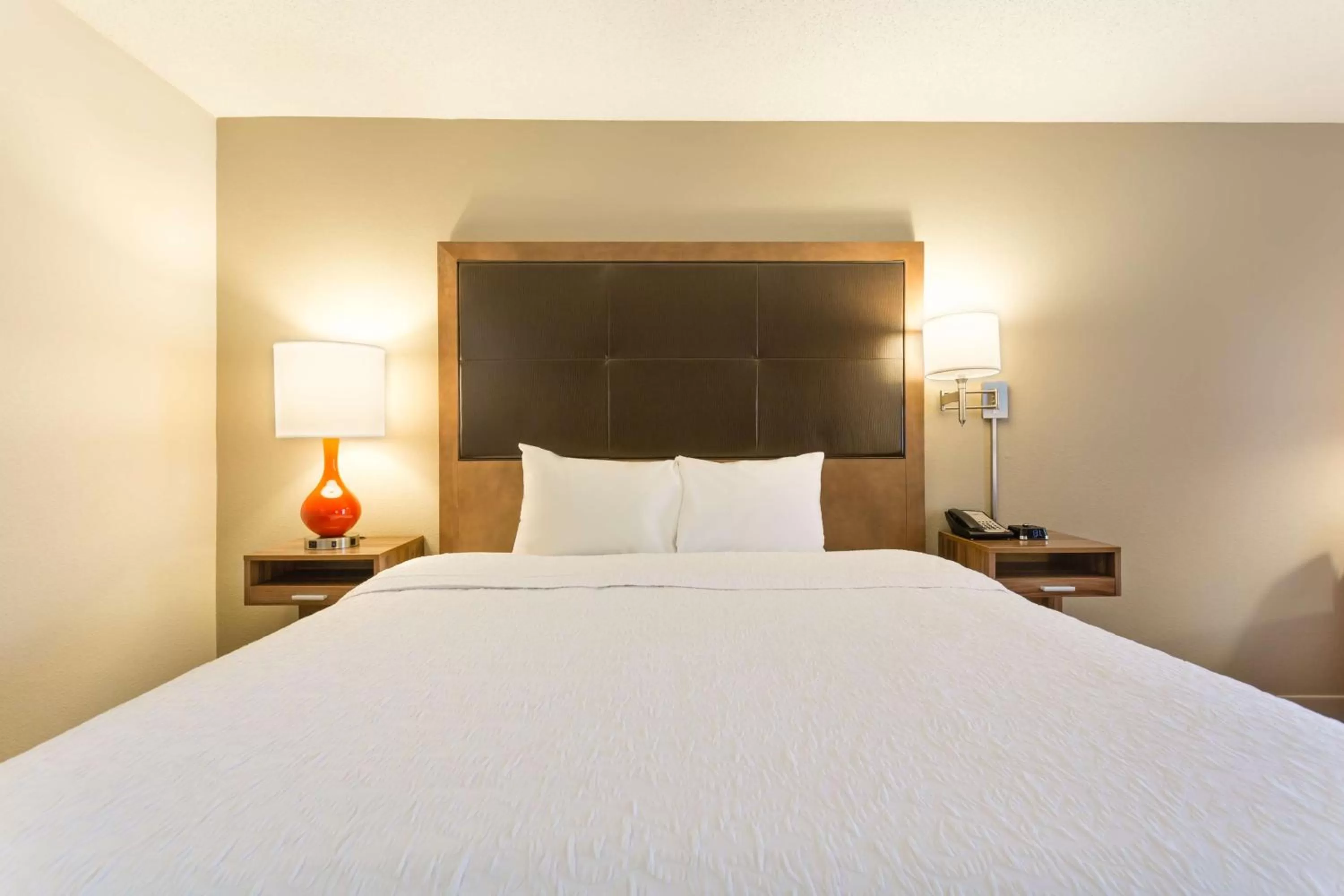 King Room with King Bed - Non-Smoking in Hampton Inn Havelock