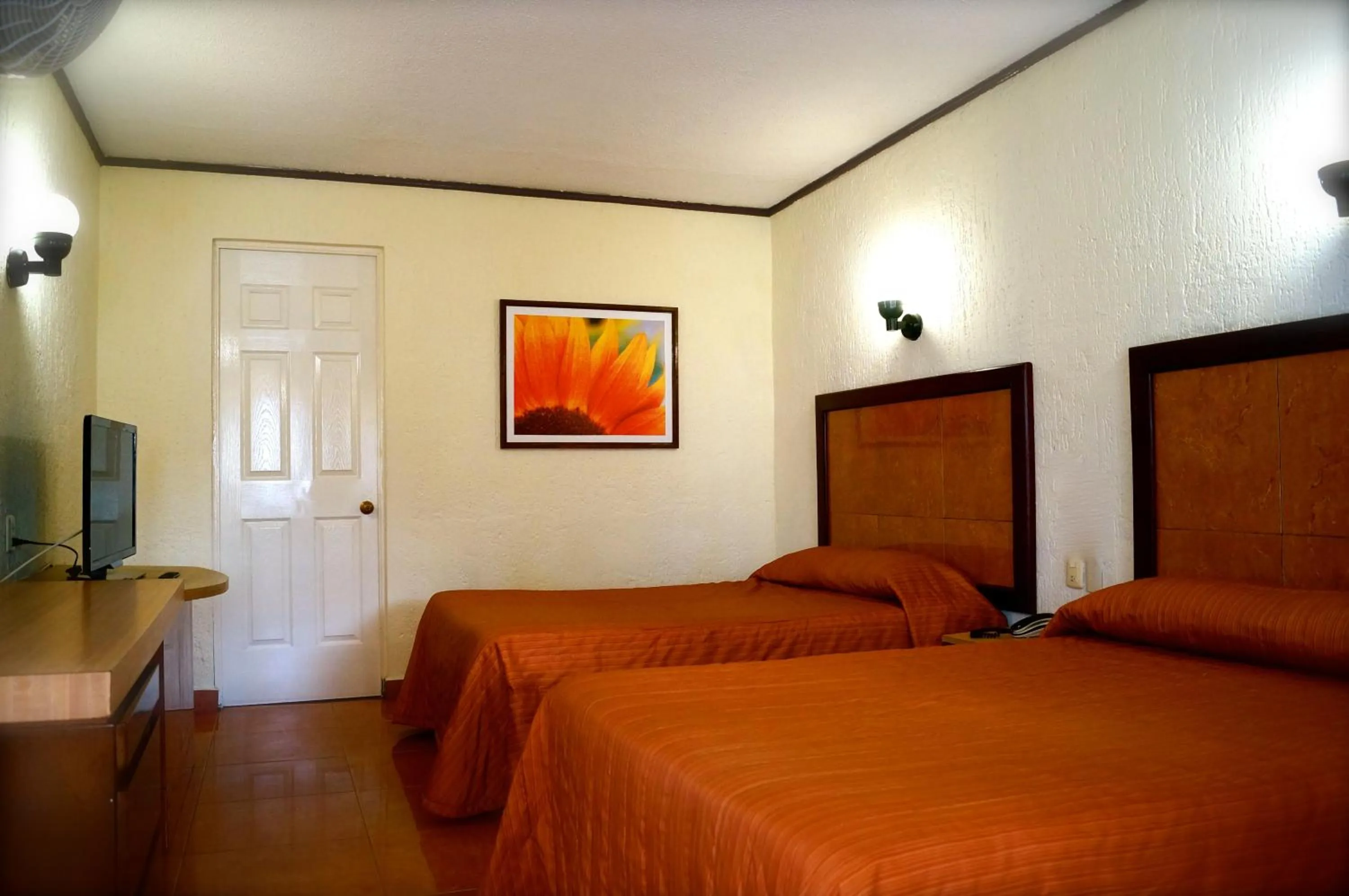 Double Room in Hotel & Suites Villa del Sol