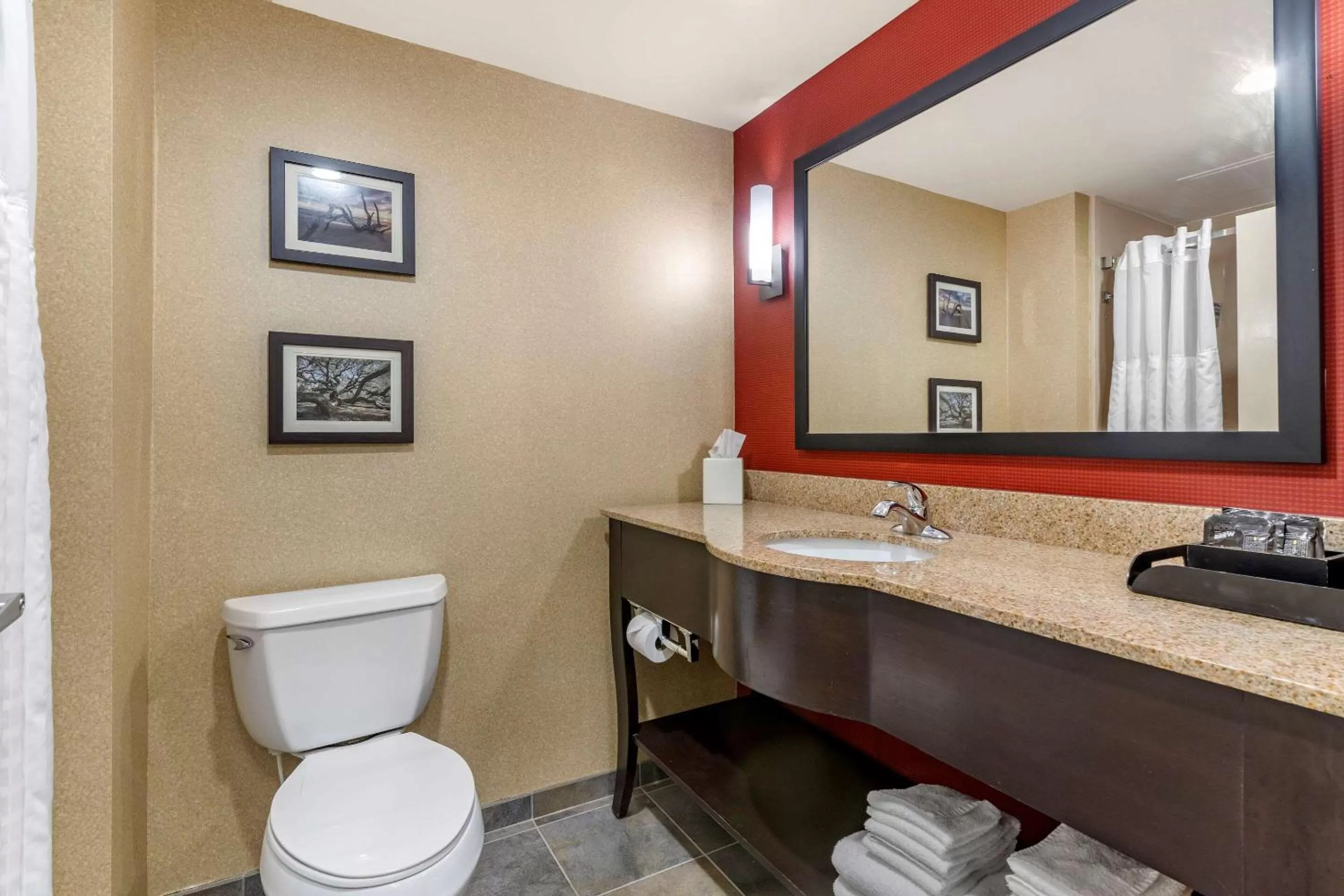 Suite with Two Queen Beds - Accessible/Non-Smoking in Comfort Suites Florence I-95